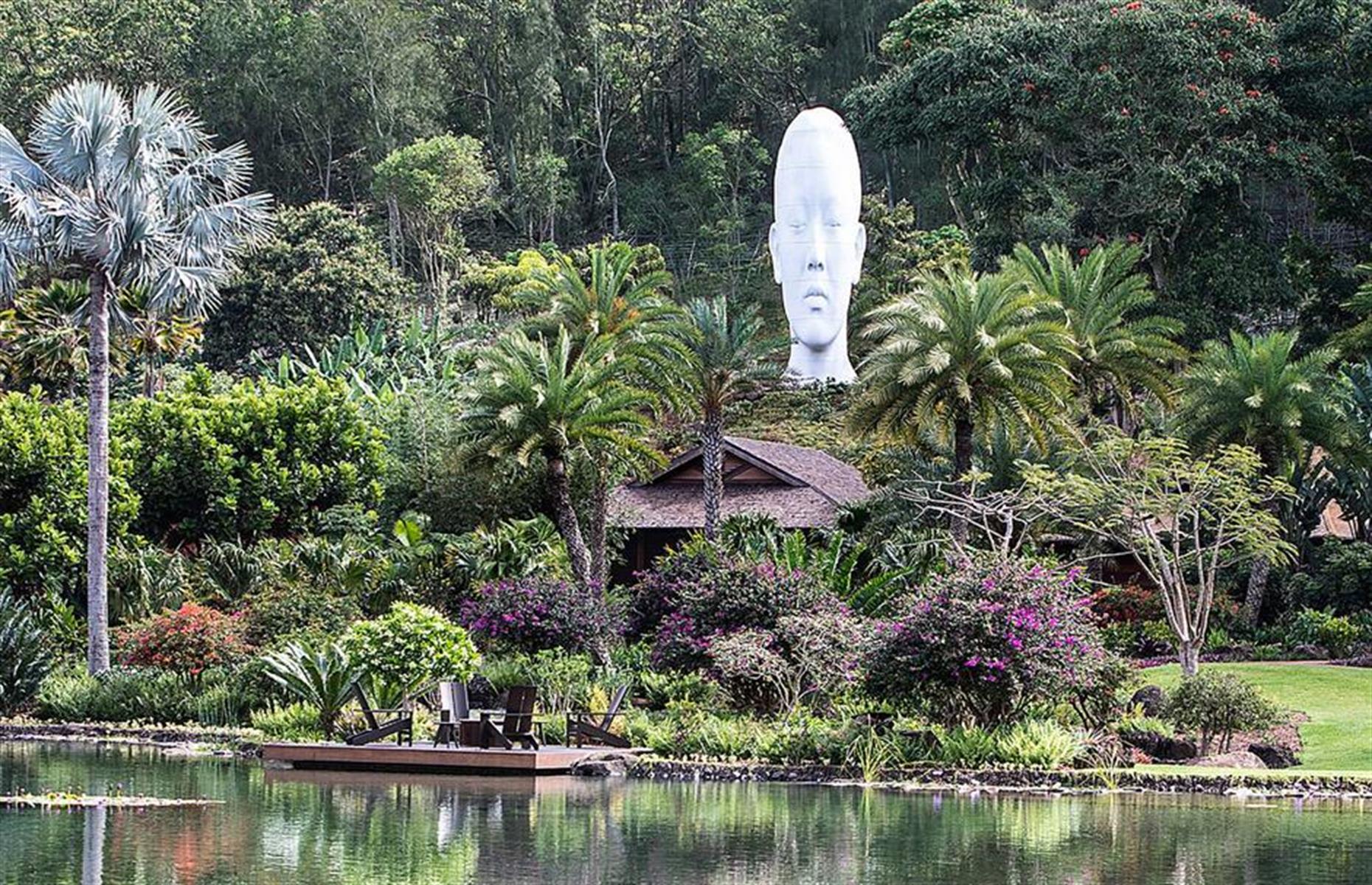 Lanai: Larry Ellison
