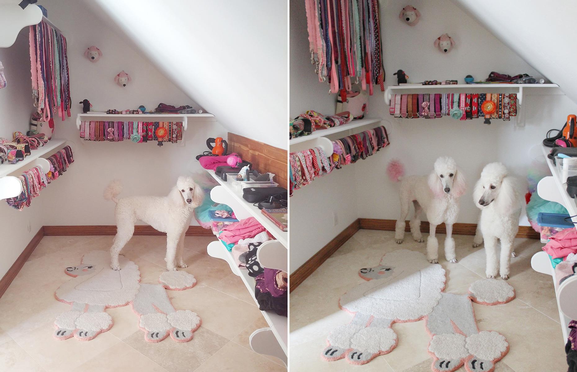 Adorable walk-in closet for dogs