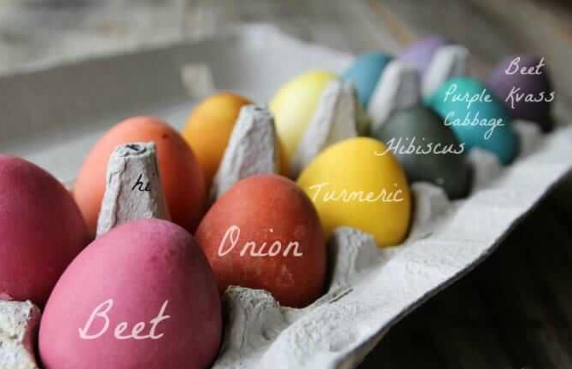 Naturally dyed Easter eggs