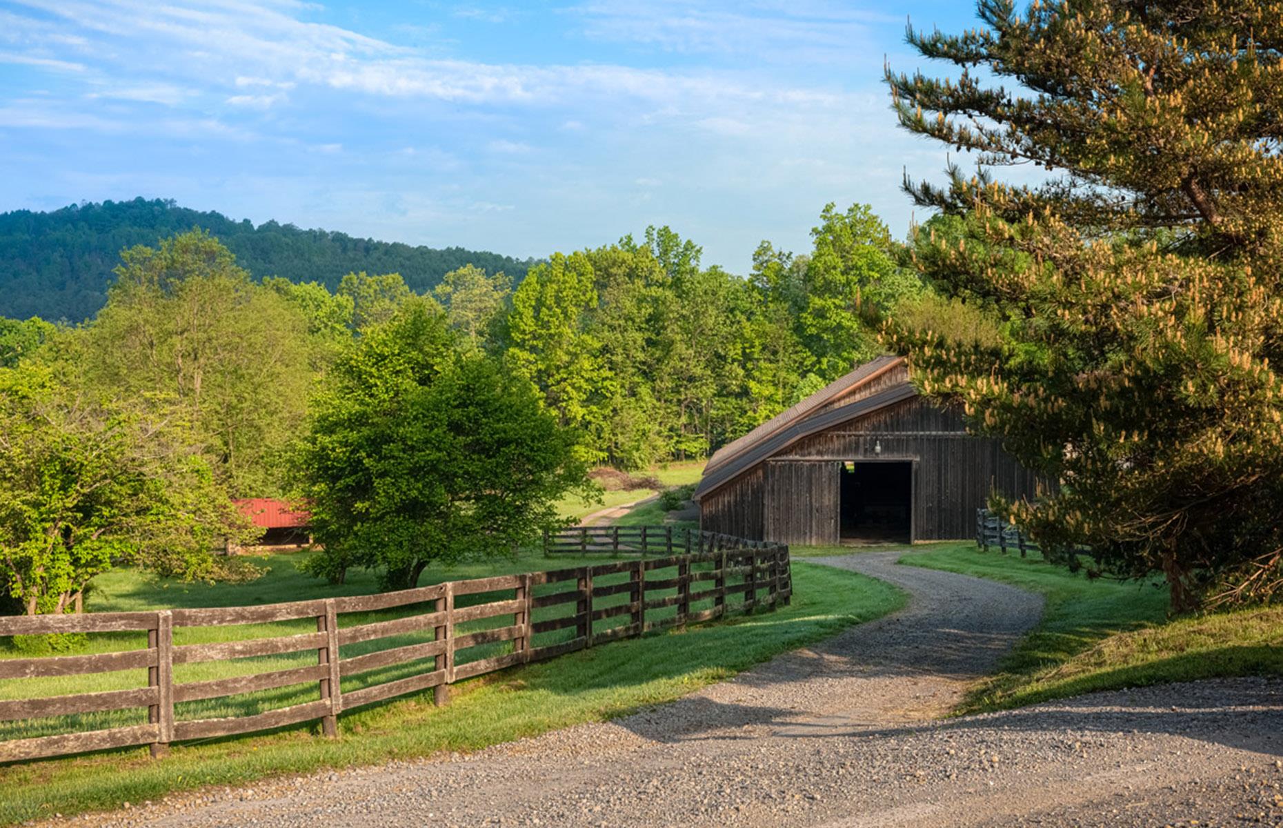The sheep barn