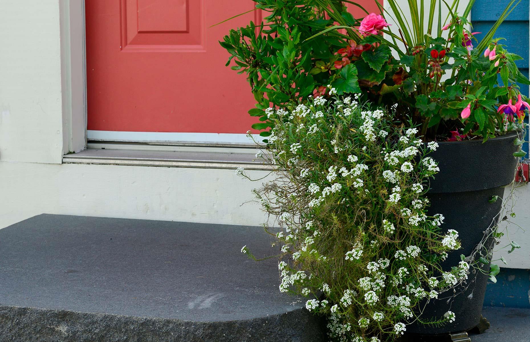 Go potty on steps