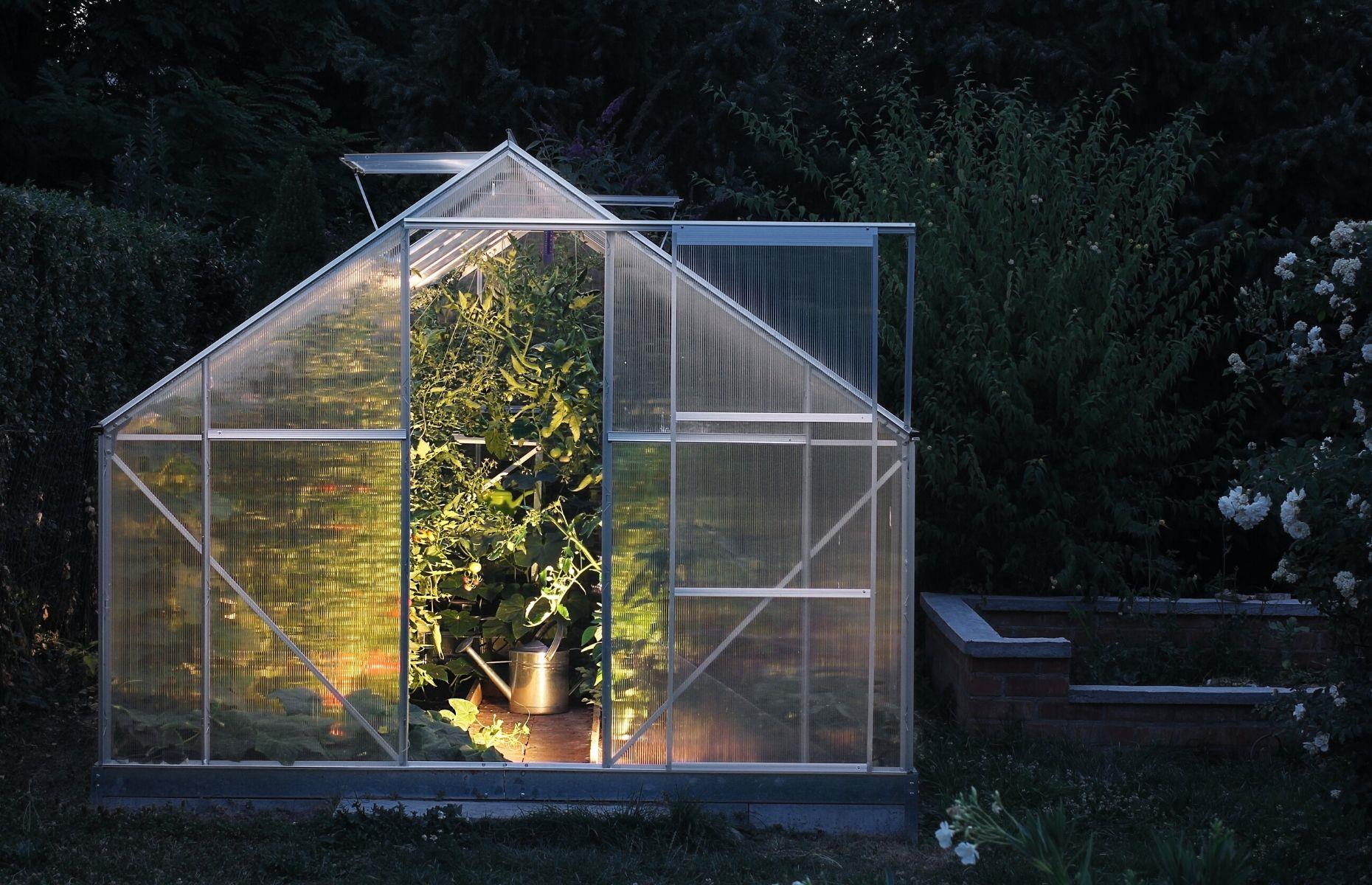 Water plants at night in the summer