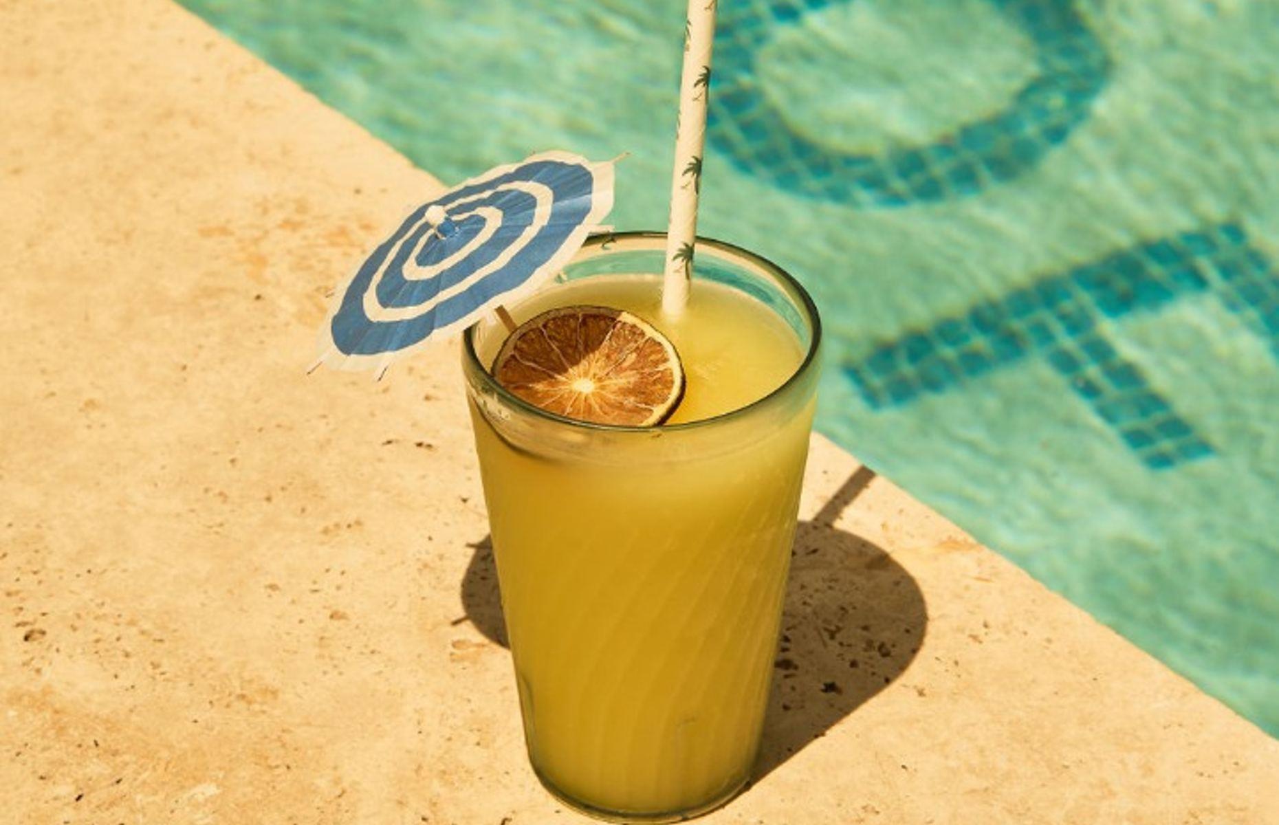 South Carolina: Little Palm, Charleston