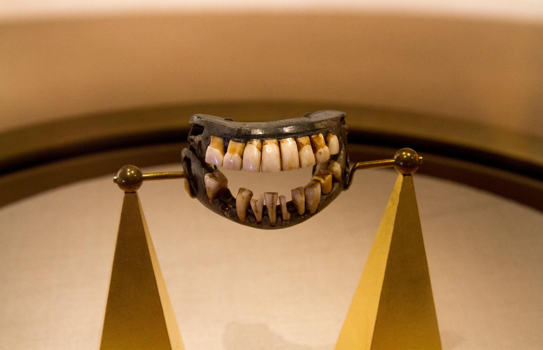George Washington had wooden teeth