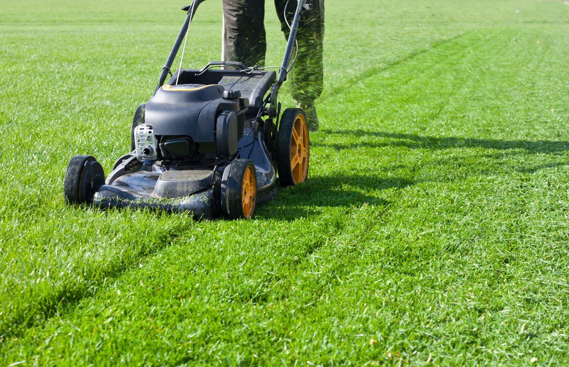 Always cut the grass when it's dry