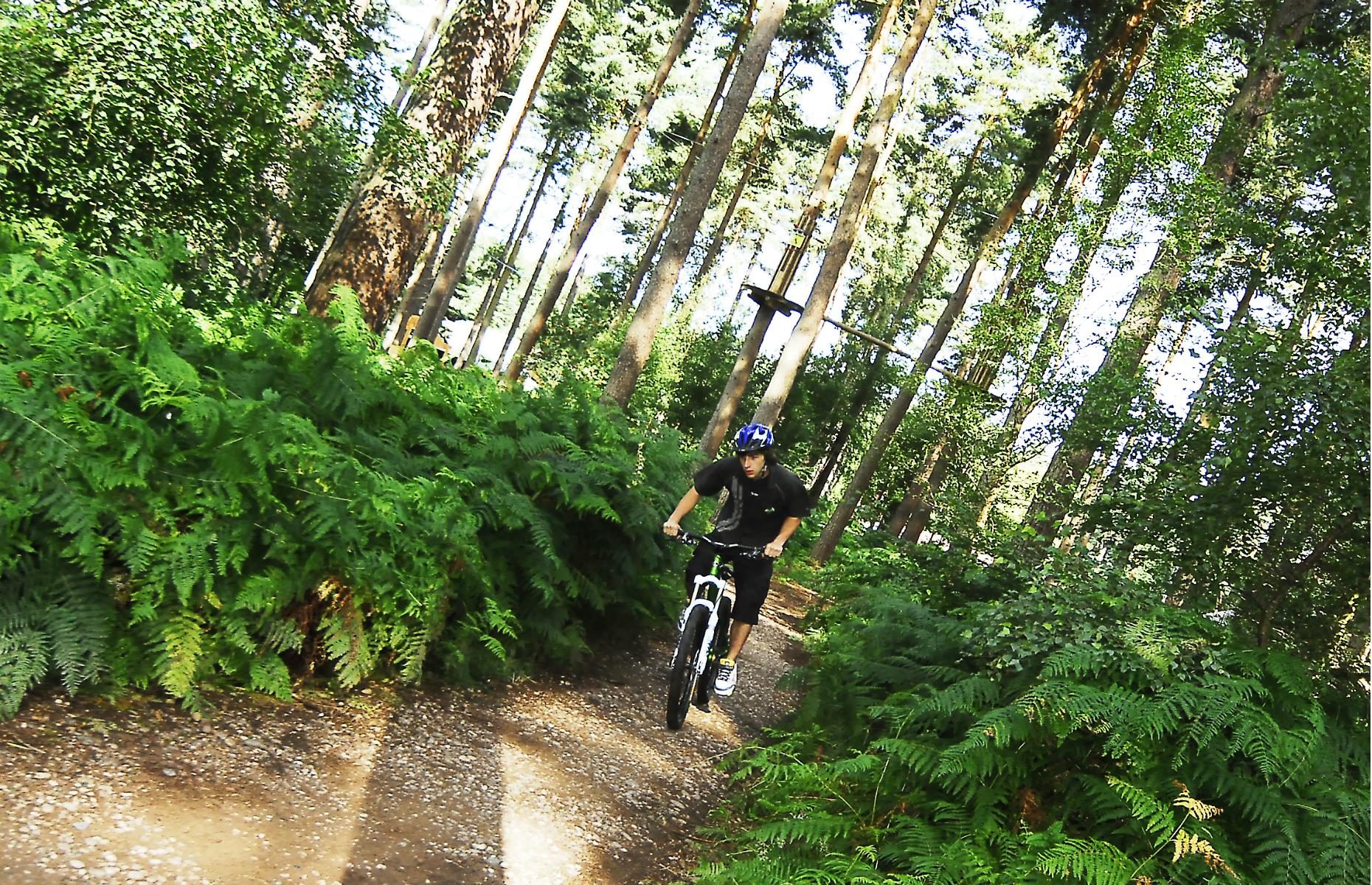 Cannock Chase