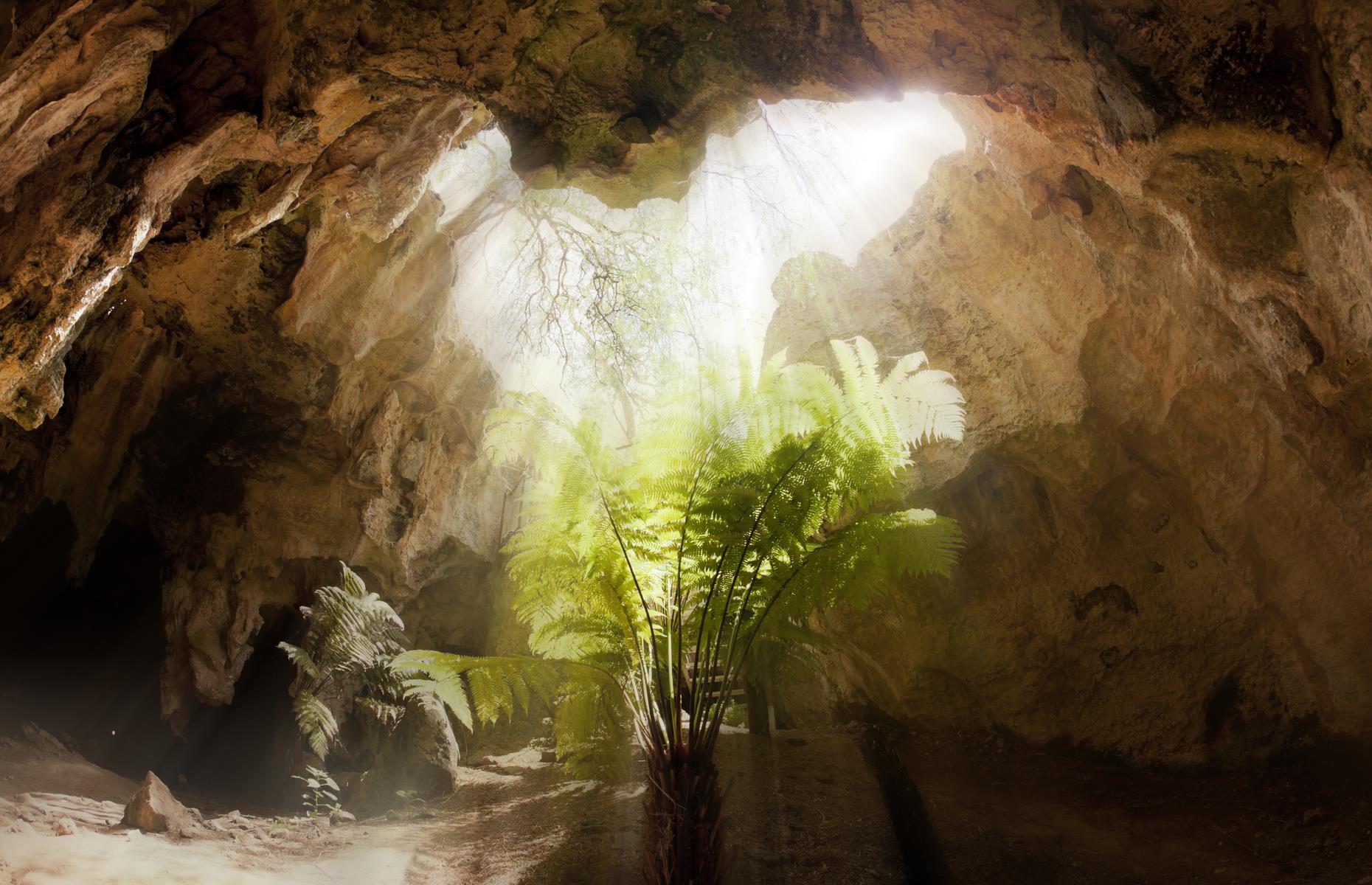 Naracoorte Caves, South Australia