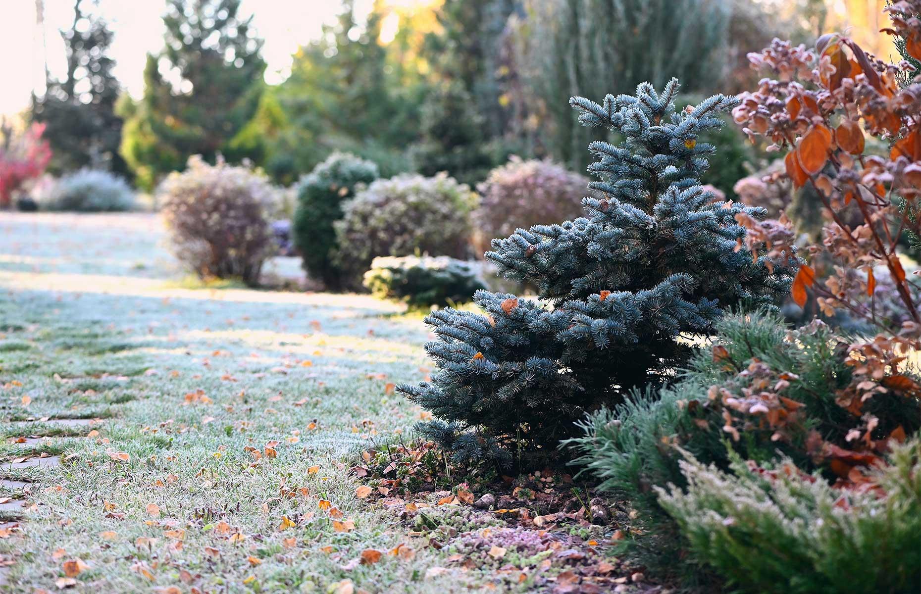 Seasonal planting