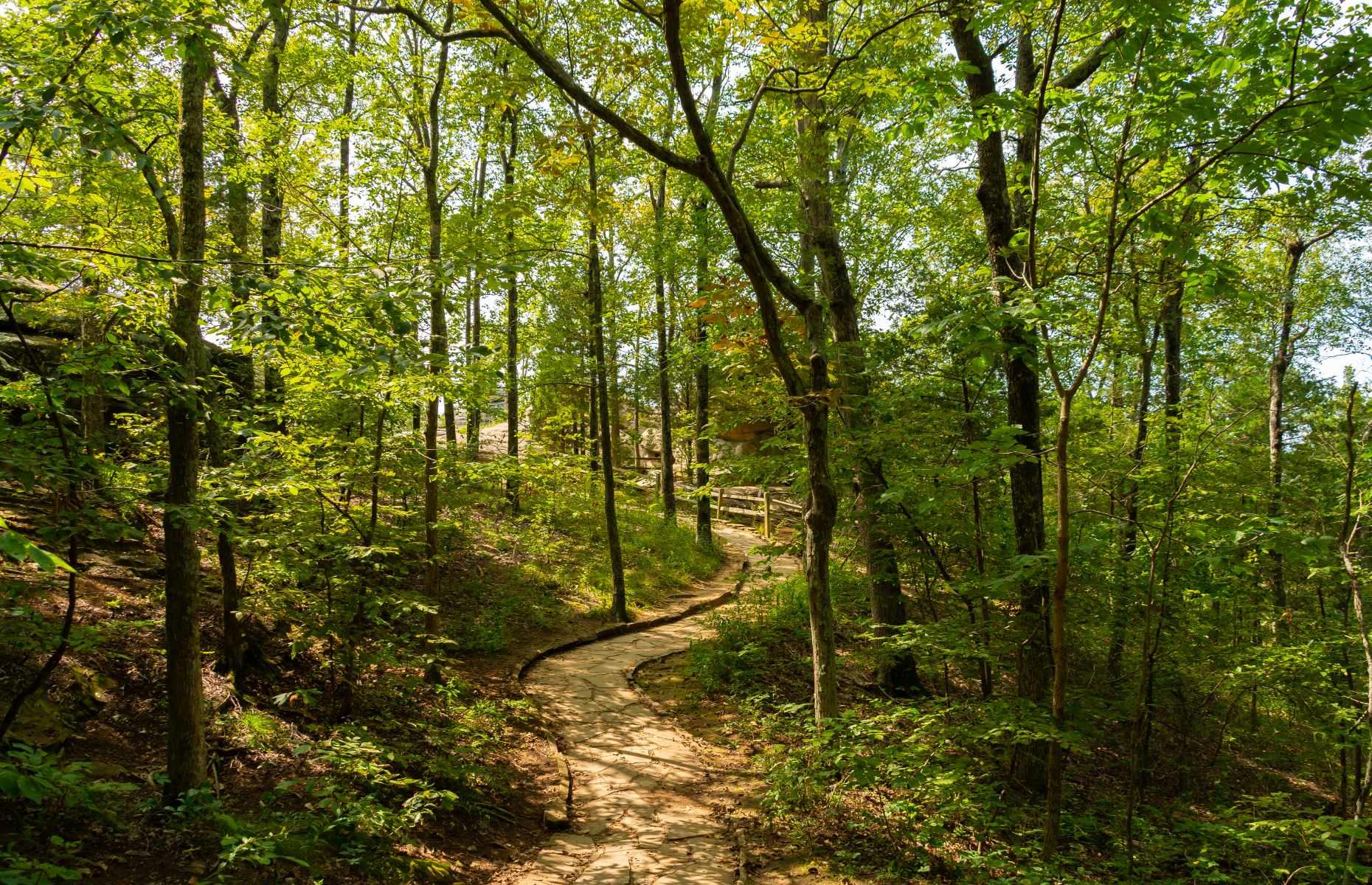 31. Shawnee National Forest, Illinois