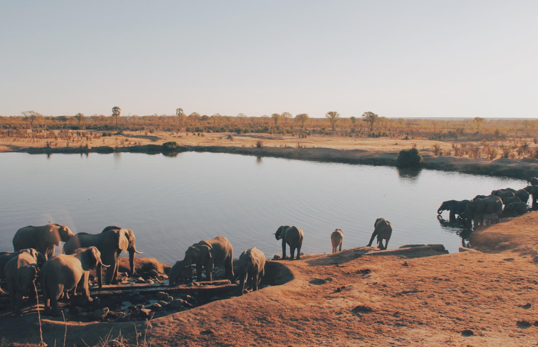 Hwange National Park, Zimbabwe 