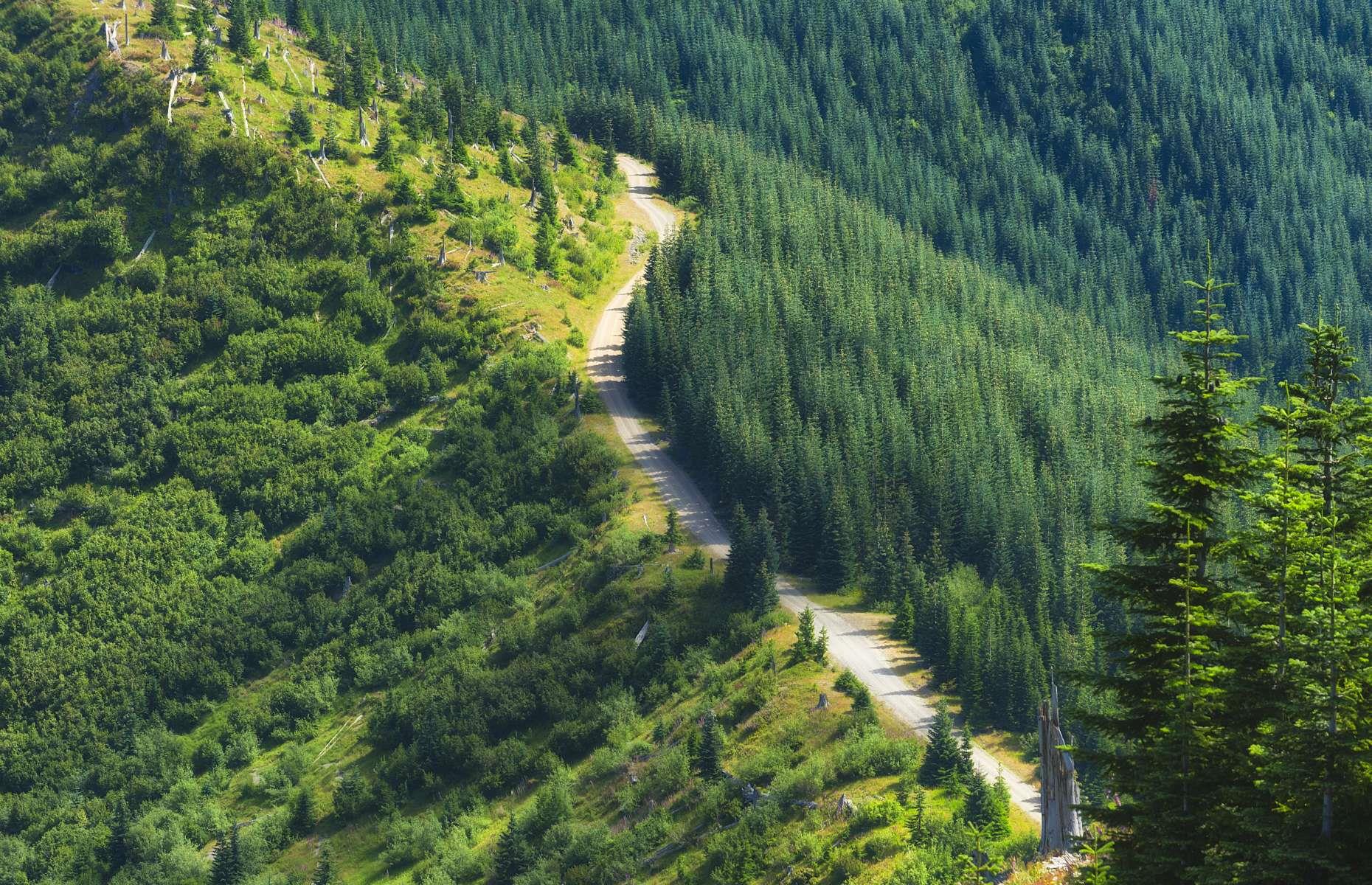 5. Gifford Pinchot National Forest, Washington