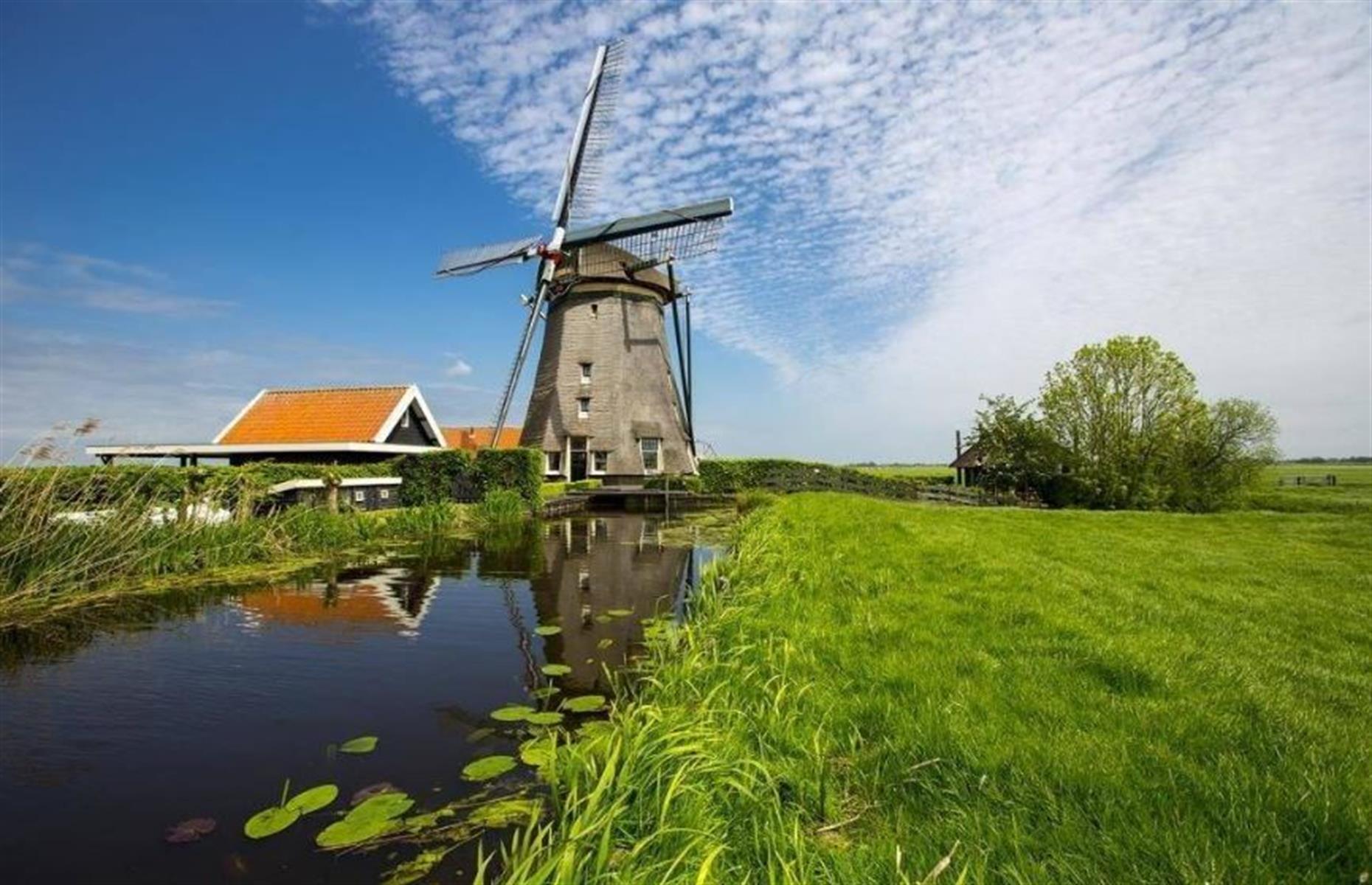 Мельница нормандия. Ул ветряных мельниц янино. Ветряных мельниц д. Янино-1 мельница. Янино-1 мельница.