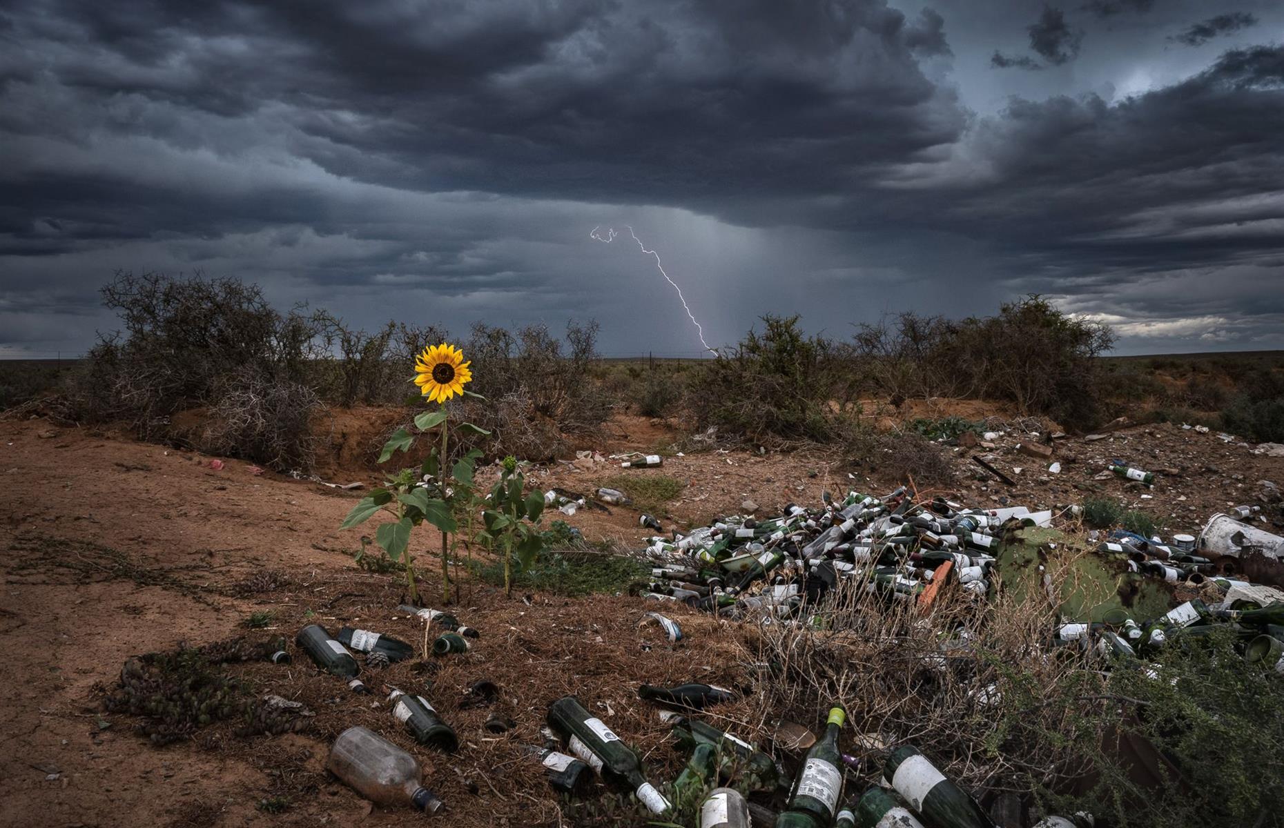 Nature Fights Back