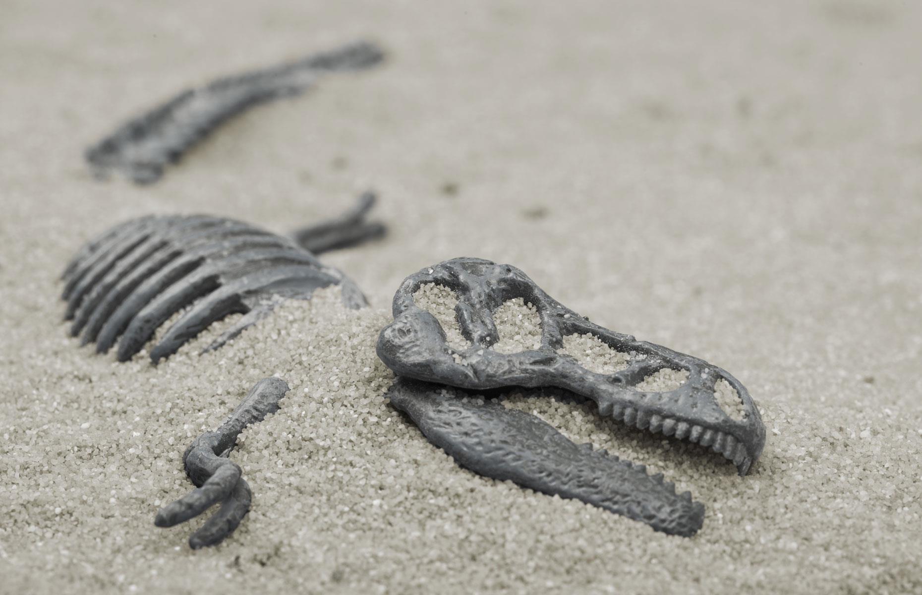 Dinosaur bones – 10-year return: up to 1,250%