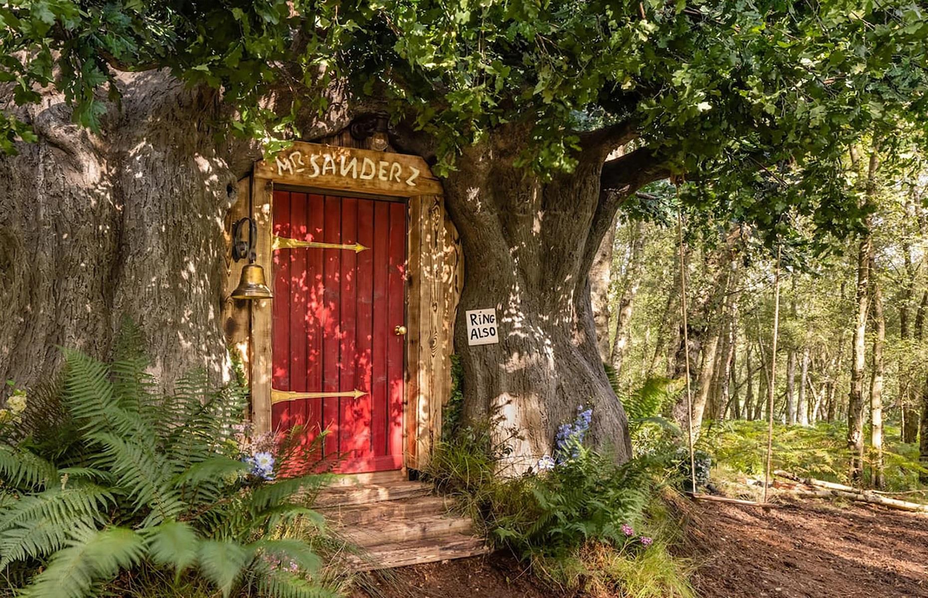 Bearbnb, East Sussex, UK