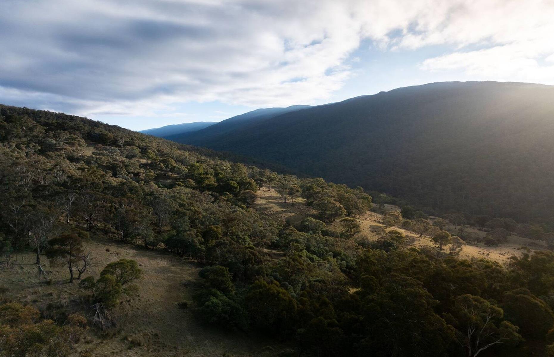 Isolated cabin, New South Wales, Australia