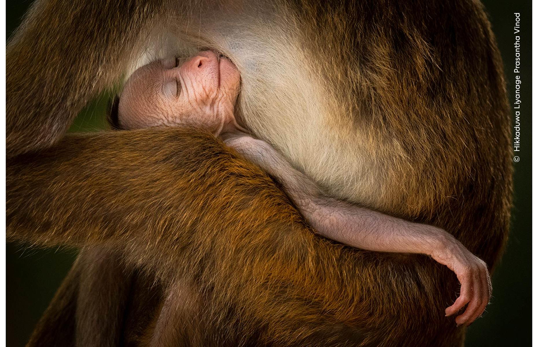 A Tranquil Moment