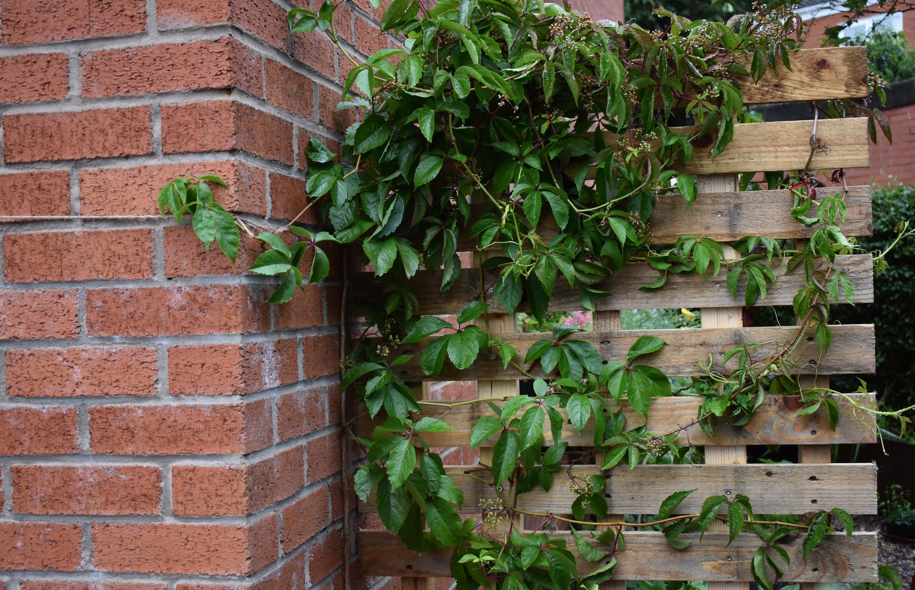 Put up a privacy screen