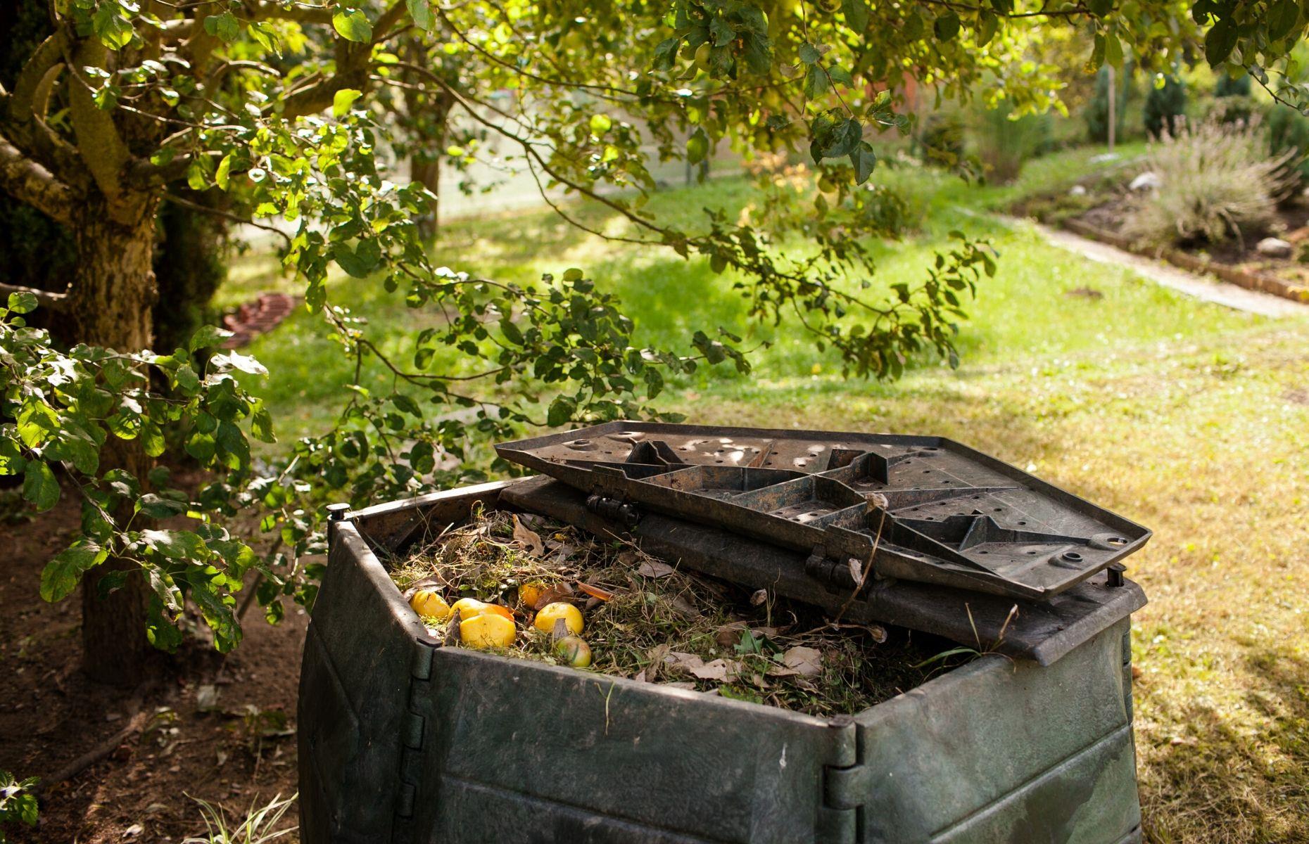 Create your own compost