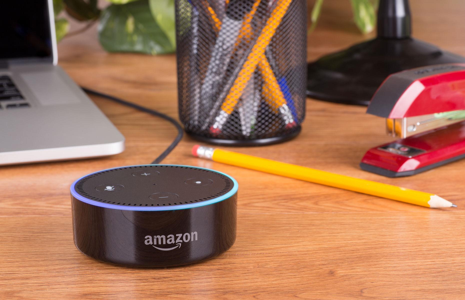 'Alexa, can you be my constant companion?'