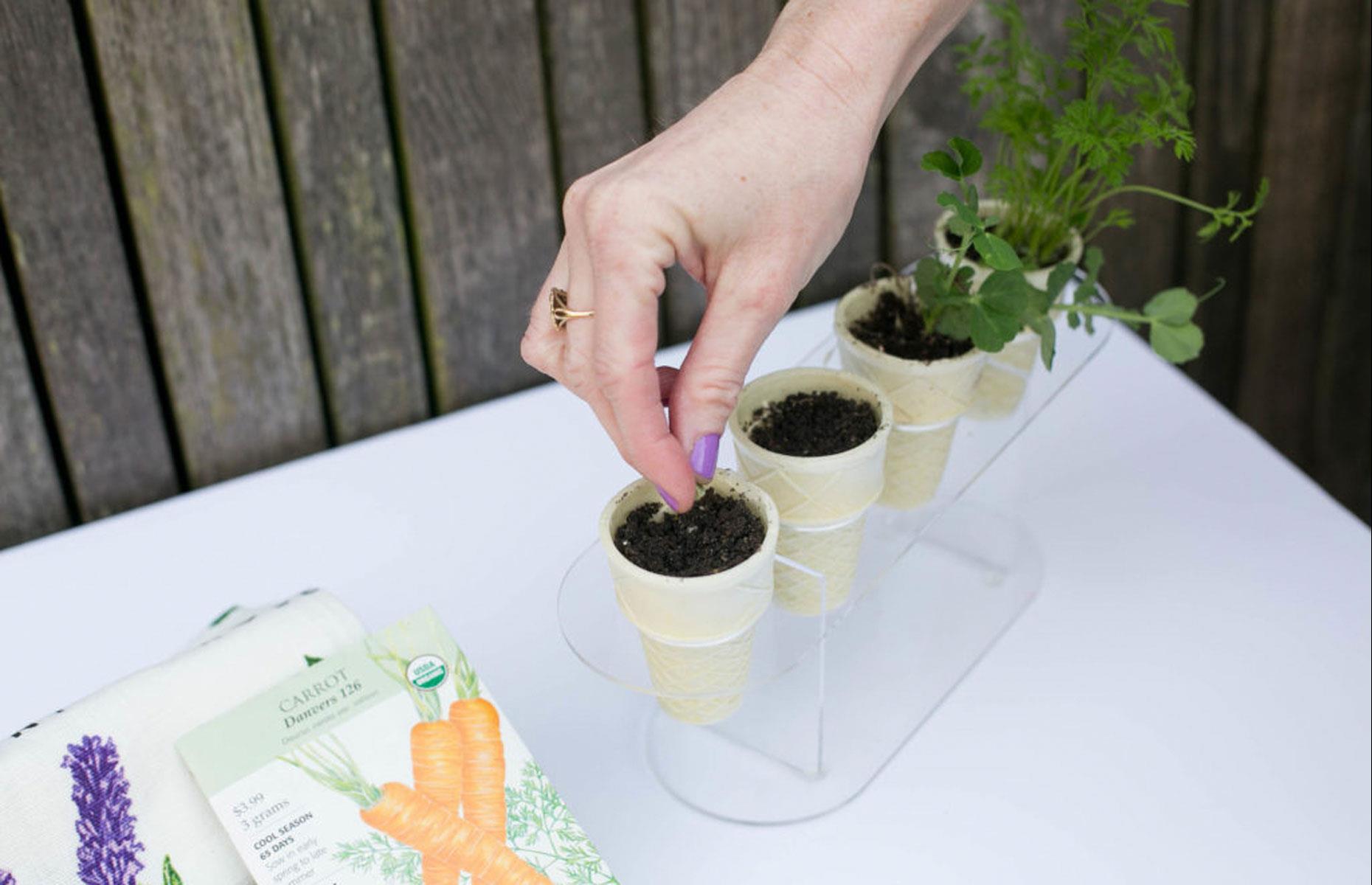 Pop seeds into ice-cream cones