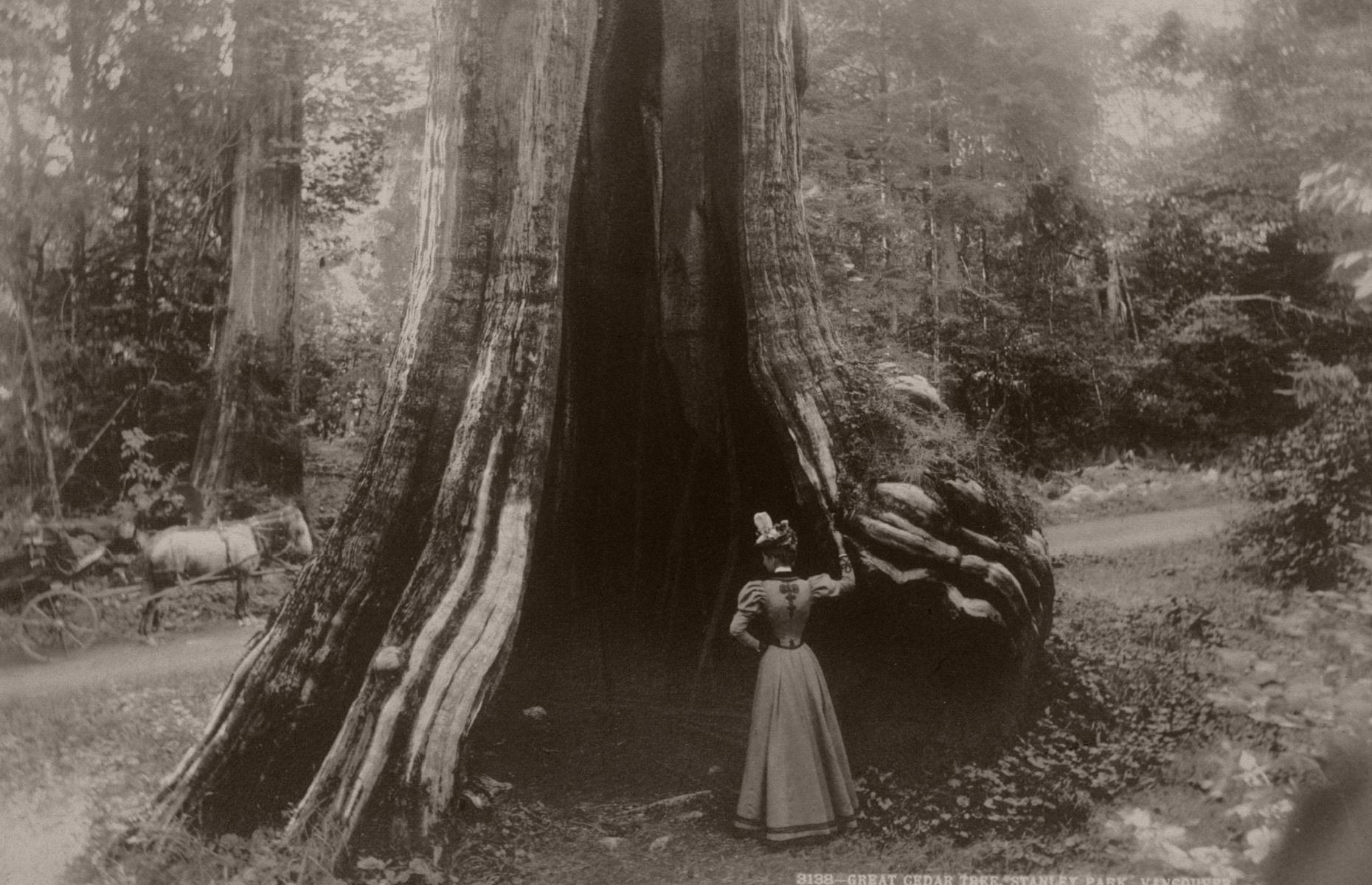 Then: Stanley Park, Vancouver, British Columbia