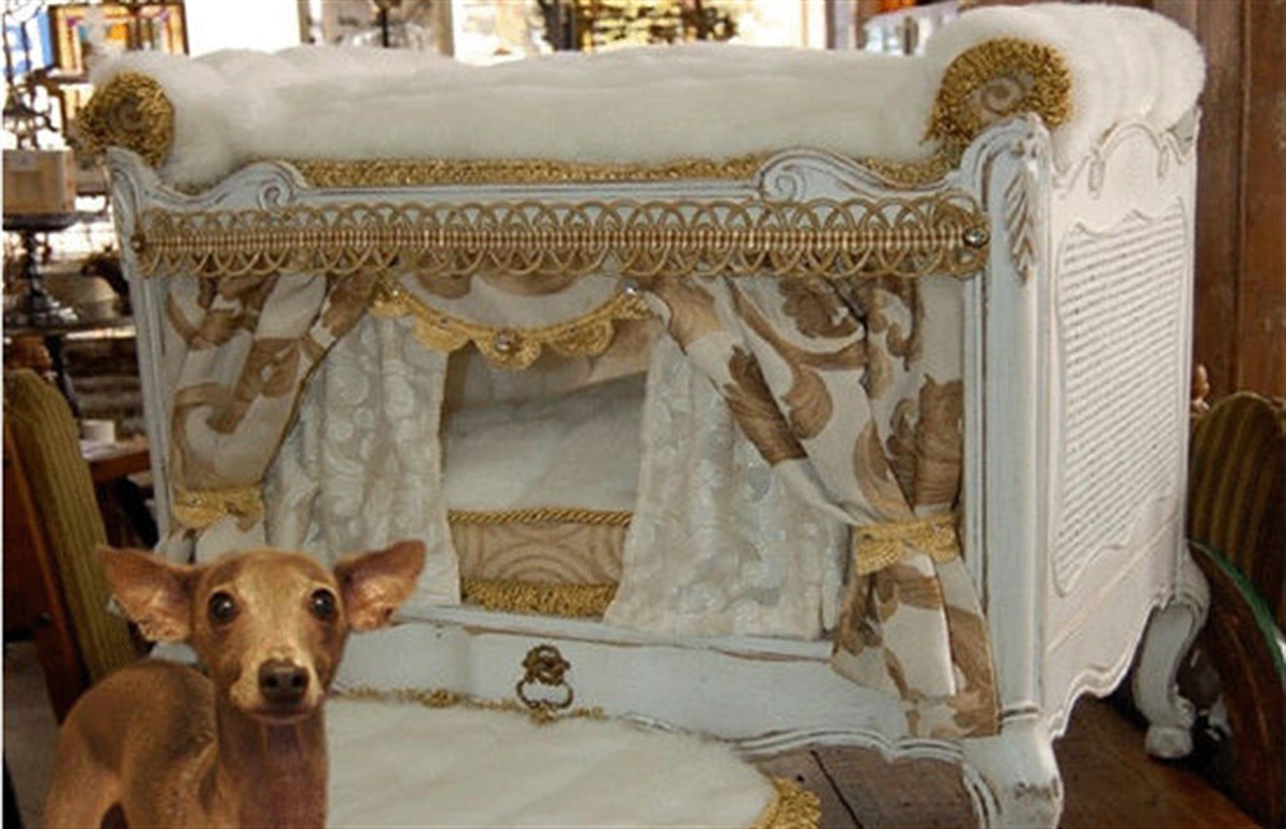 fancy dog beds