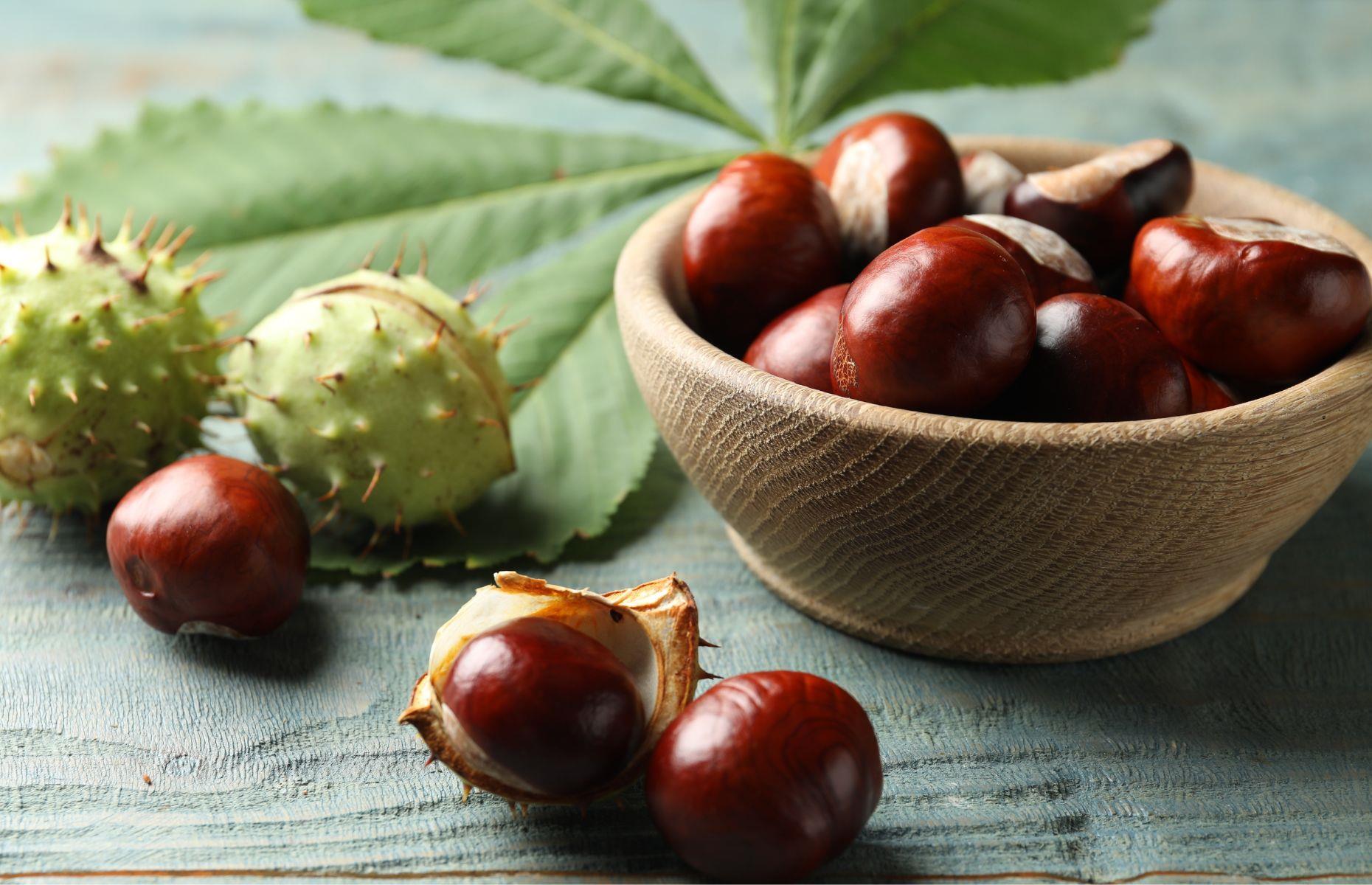 Les marrons repoussent les araignées