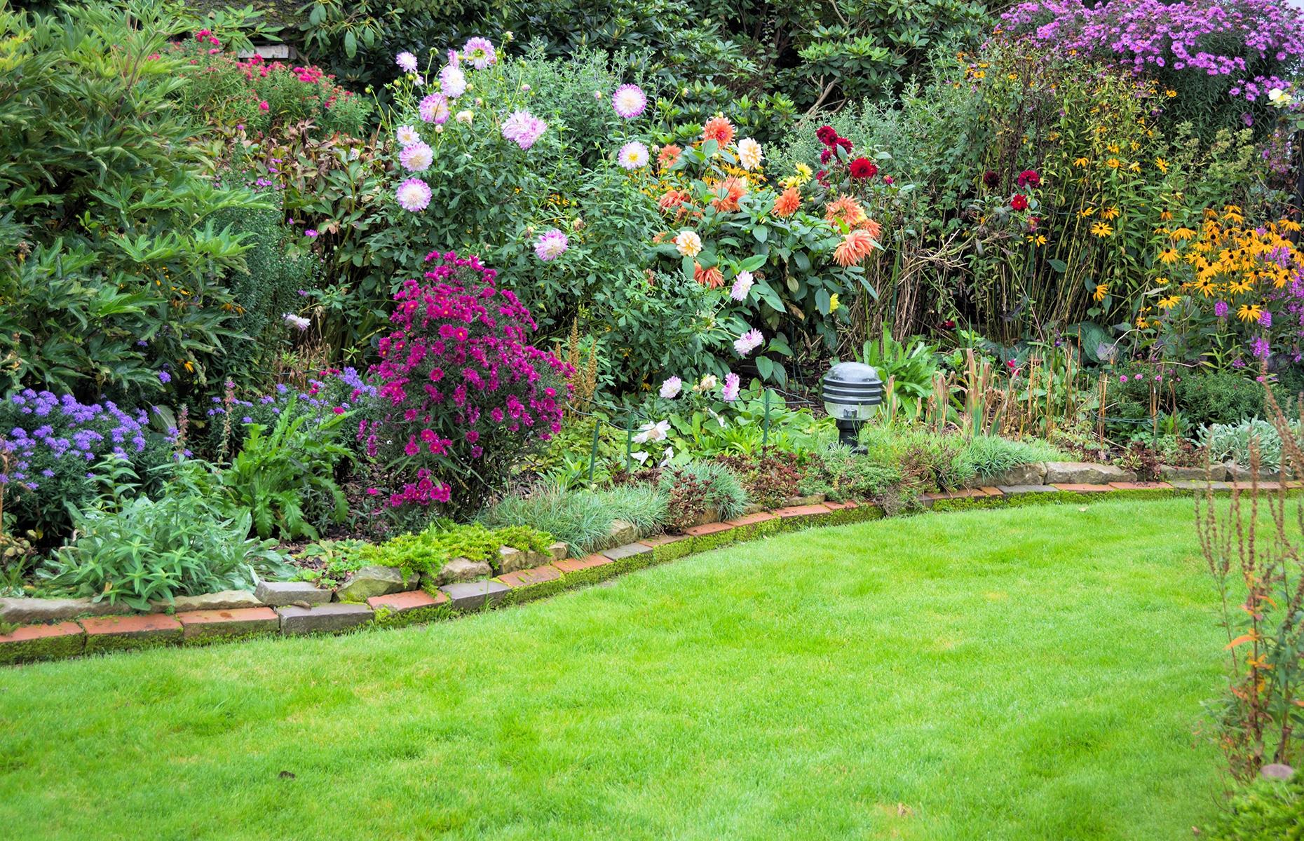 Growing a high-maintenance garden 