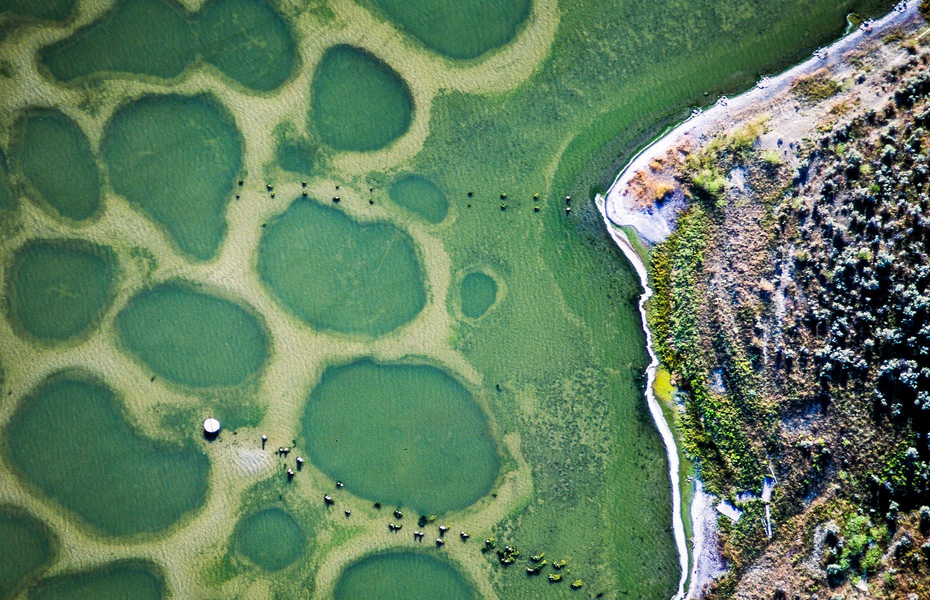 Spotted Lake, British Columbia