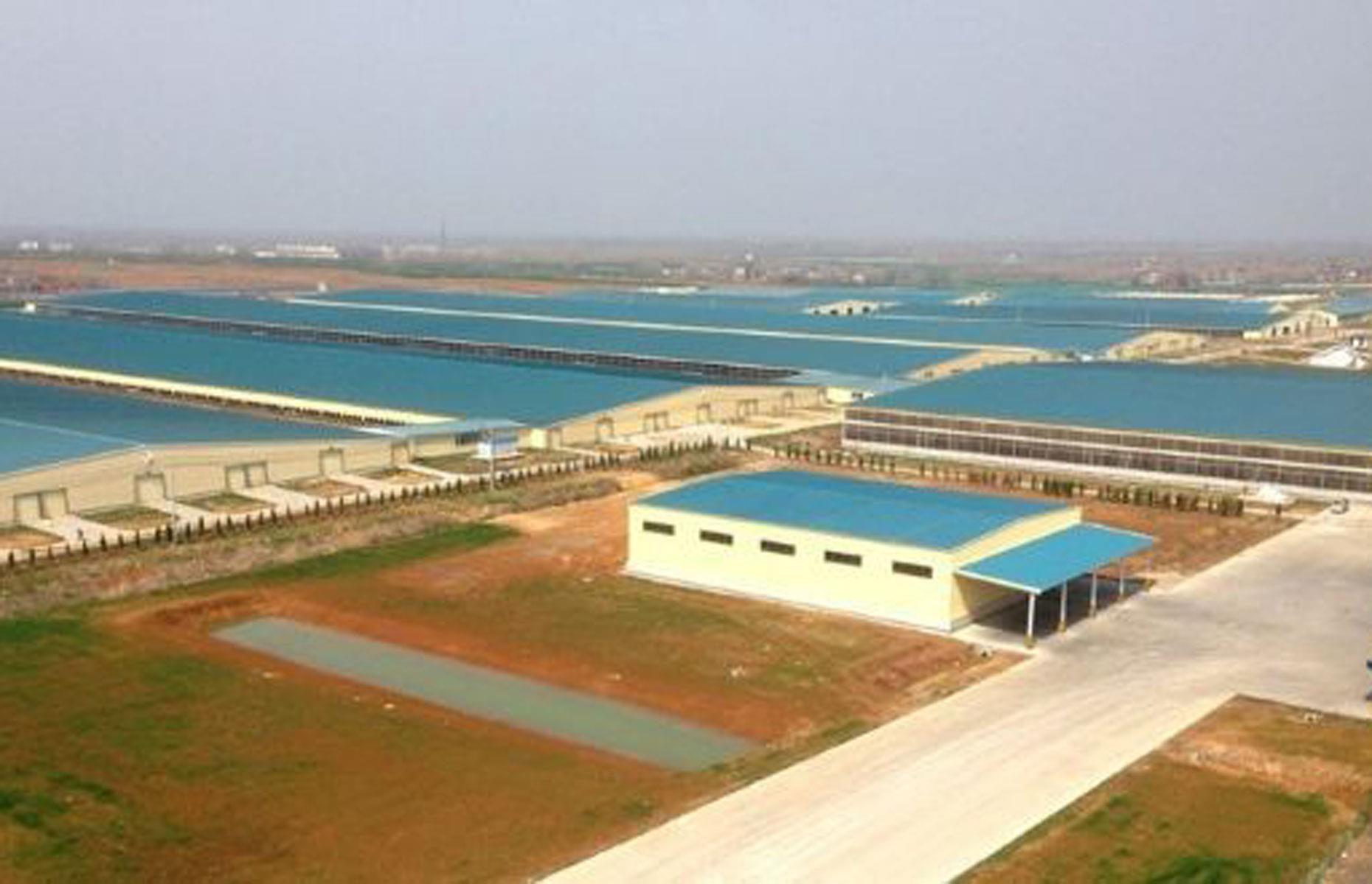 Joint 5. Zhongding Dairy Farming & Severny Bur shareholders: 9.1 million hectares