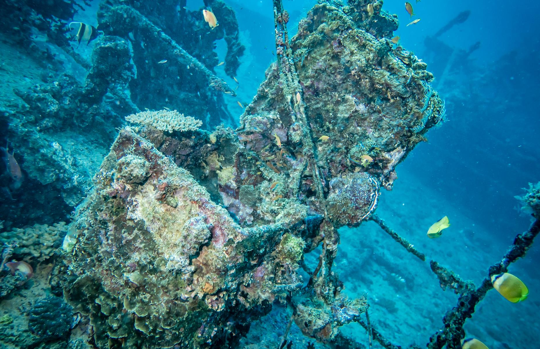 16th Century Shipwreck containing historic treasure