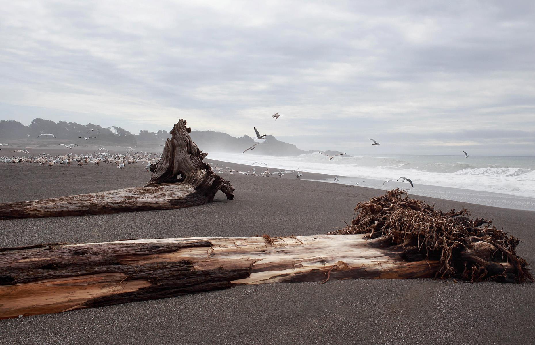 23. Gualala, Mendocino County, California 
