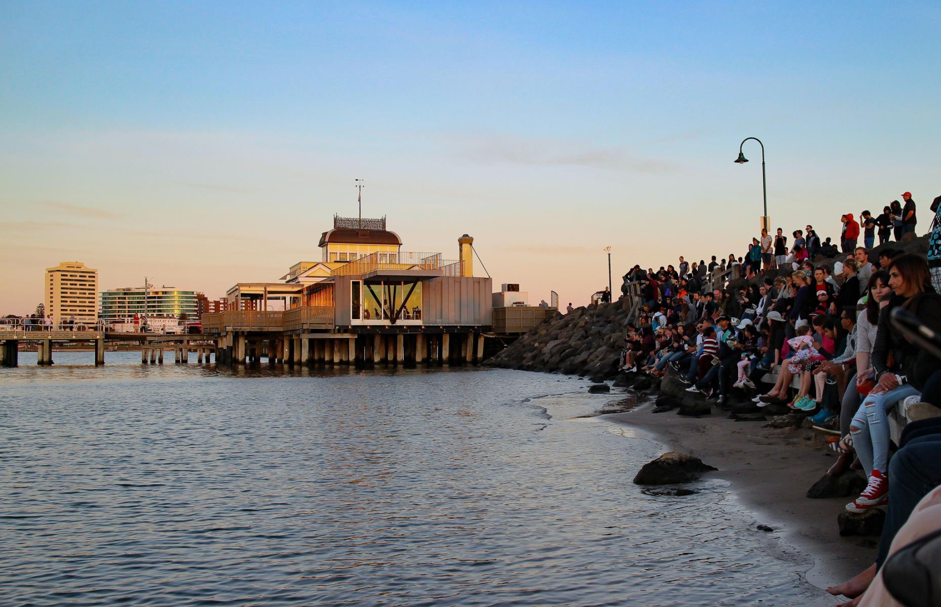 Watch the penguins, St Kilda, Victoria