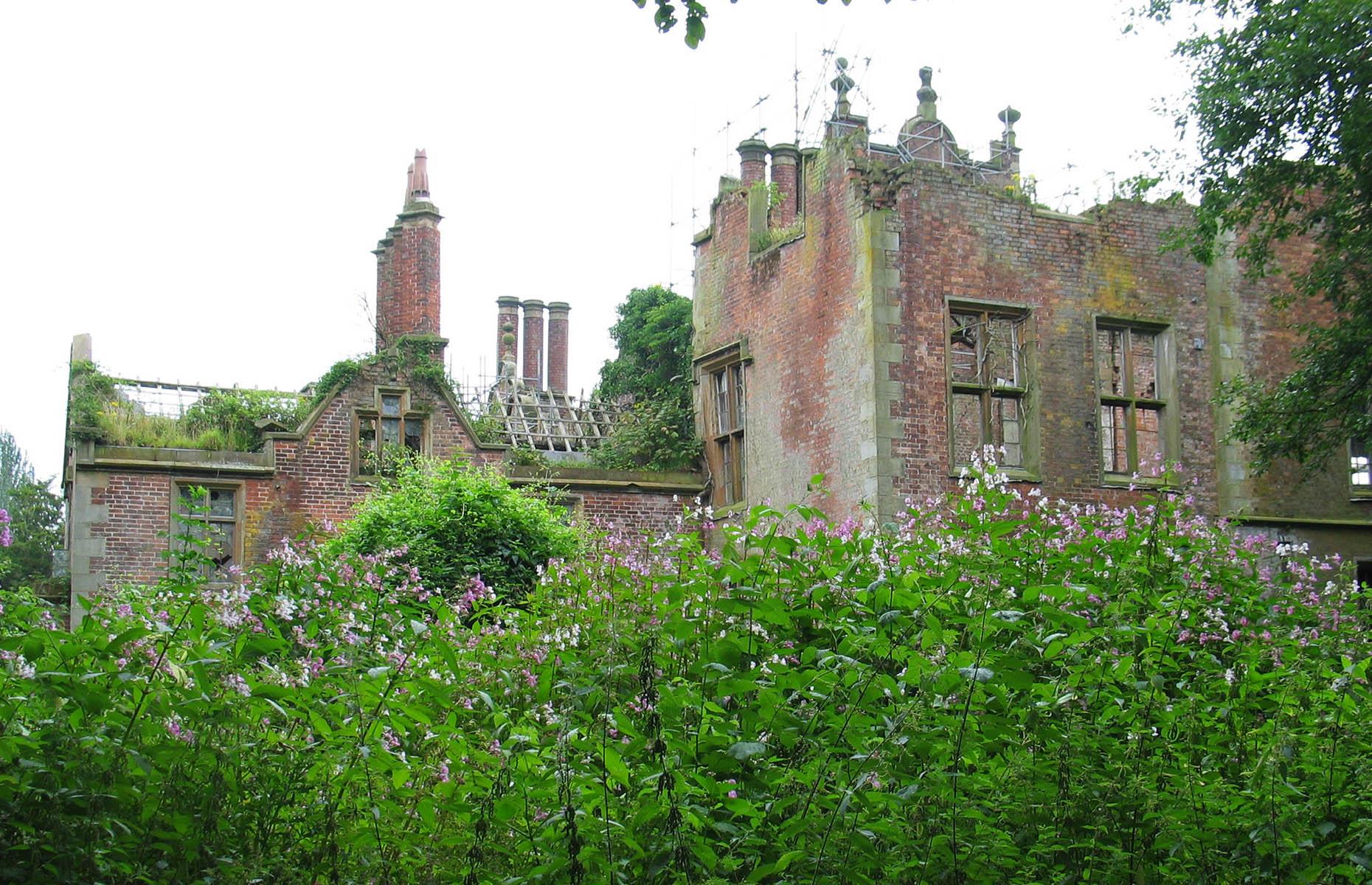 Himalayan balsam: what can go wrong