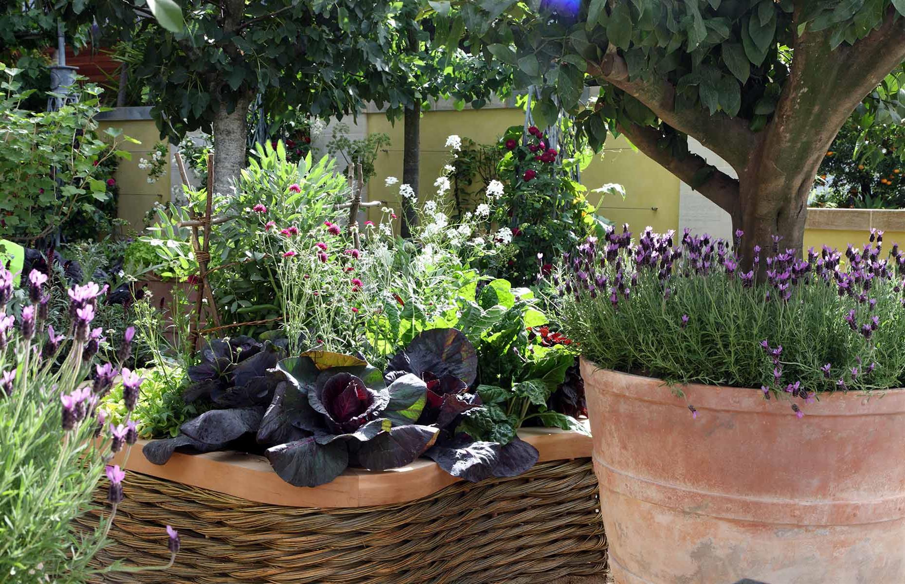 Low-effort vegetable gardens
