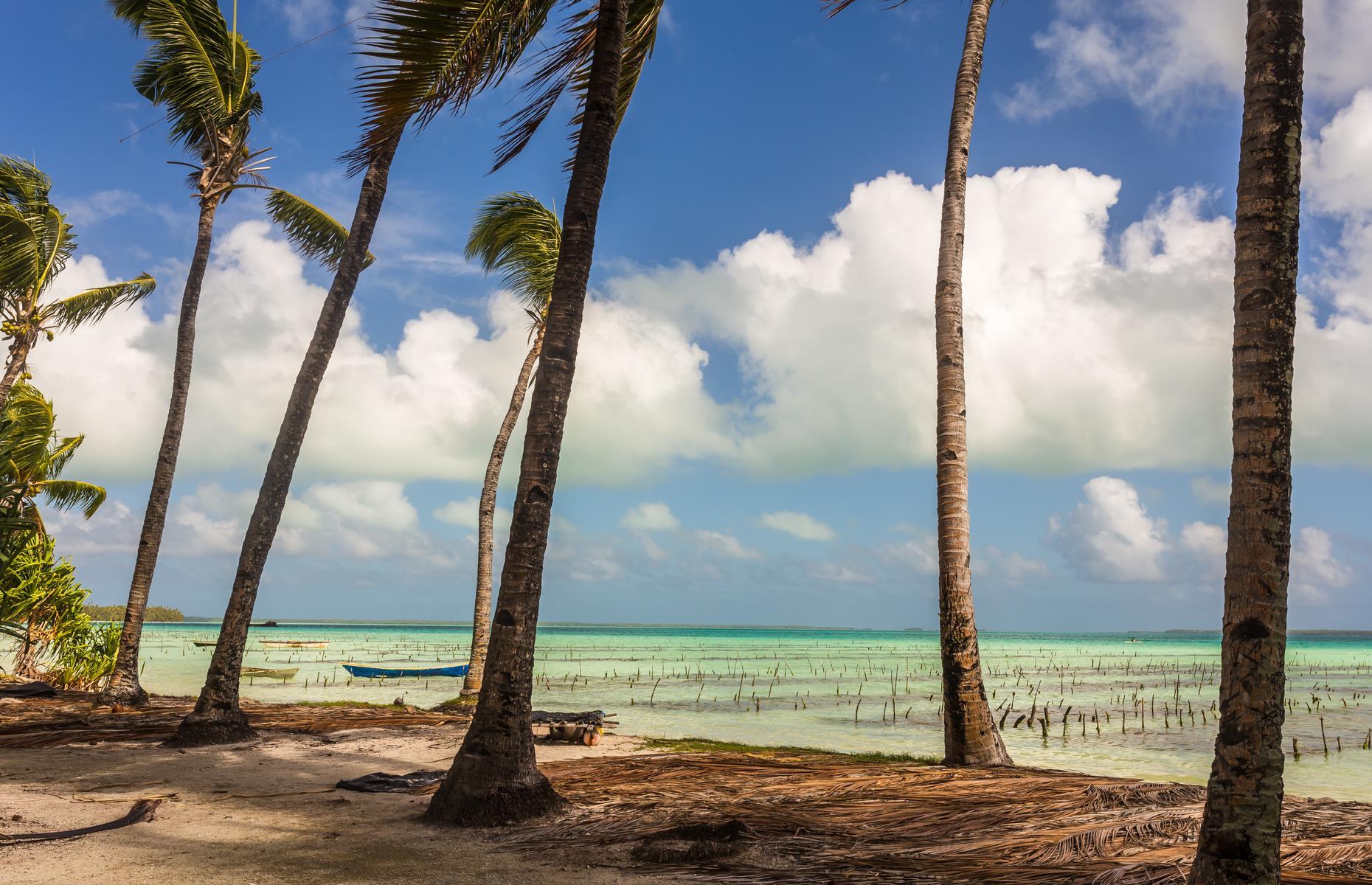 Kiribati: 6,000 visitors per year