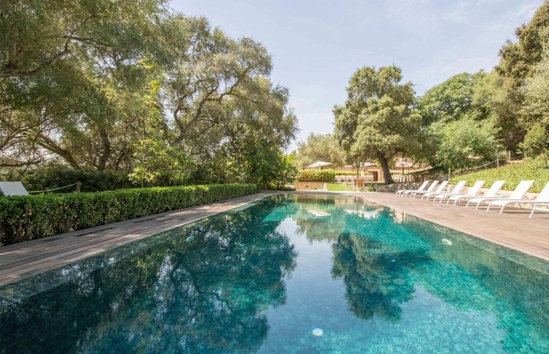 Mediterranean oasis: mature fruit and nut trees