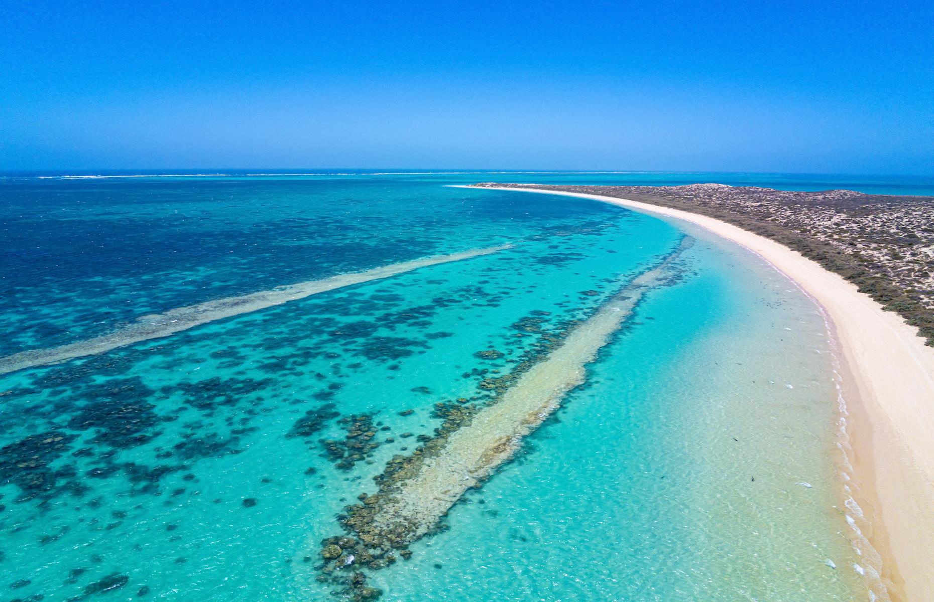 3. Swim with whale sharks, Ningaloo Reef, Western Australia