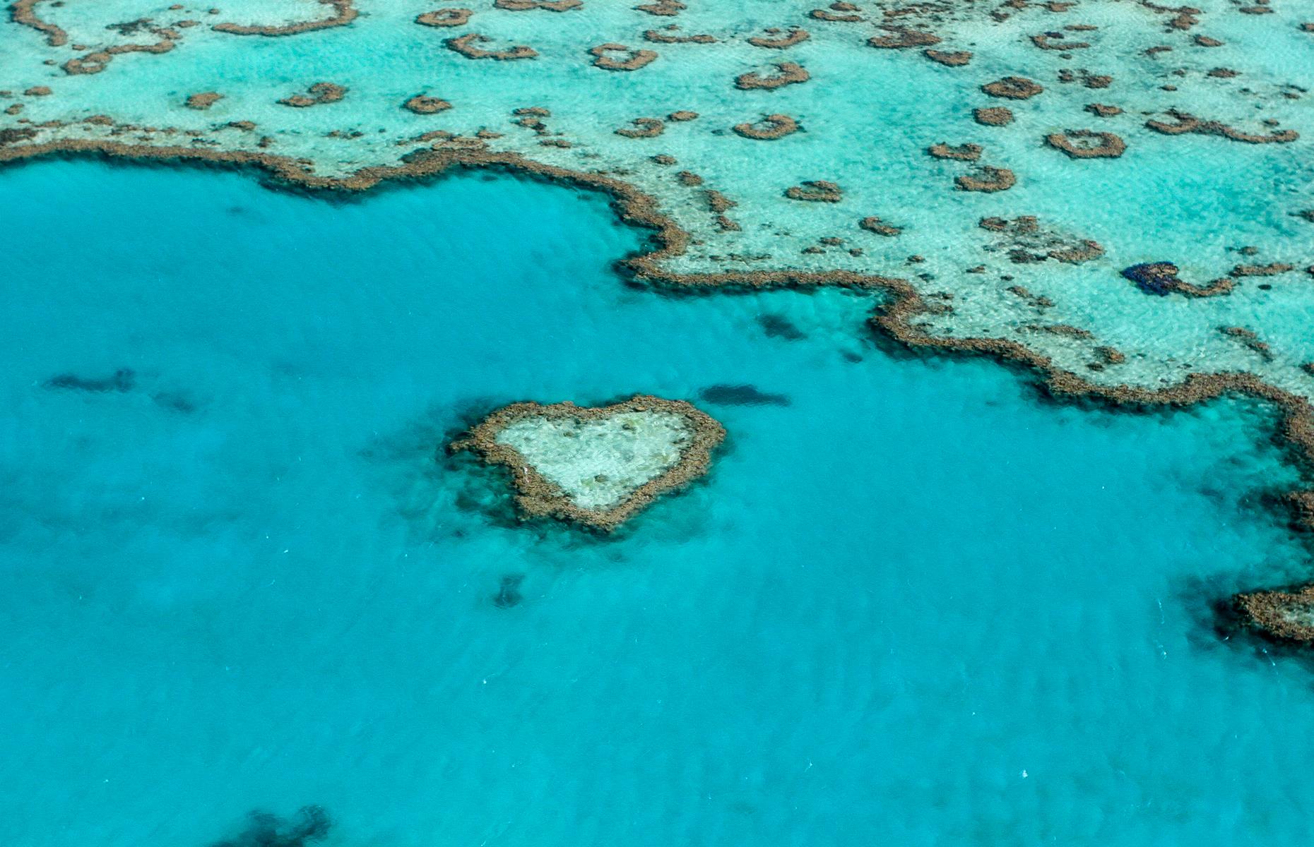 Heart Reef, Queensland 