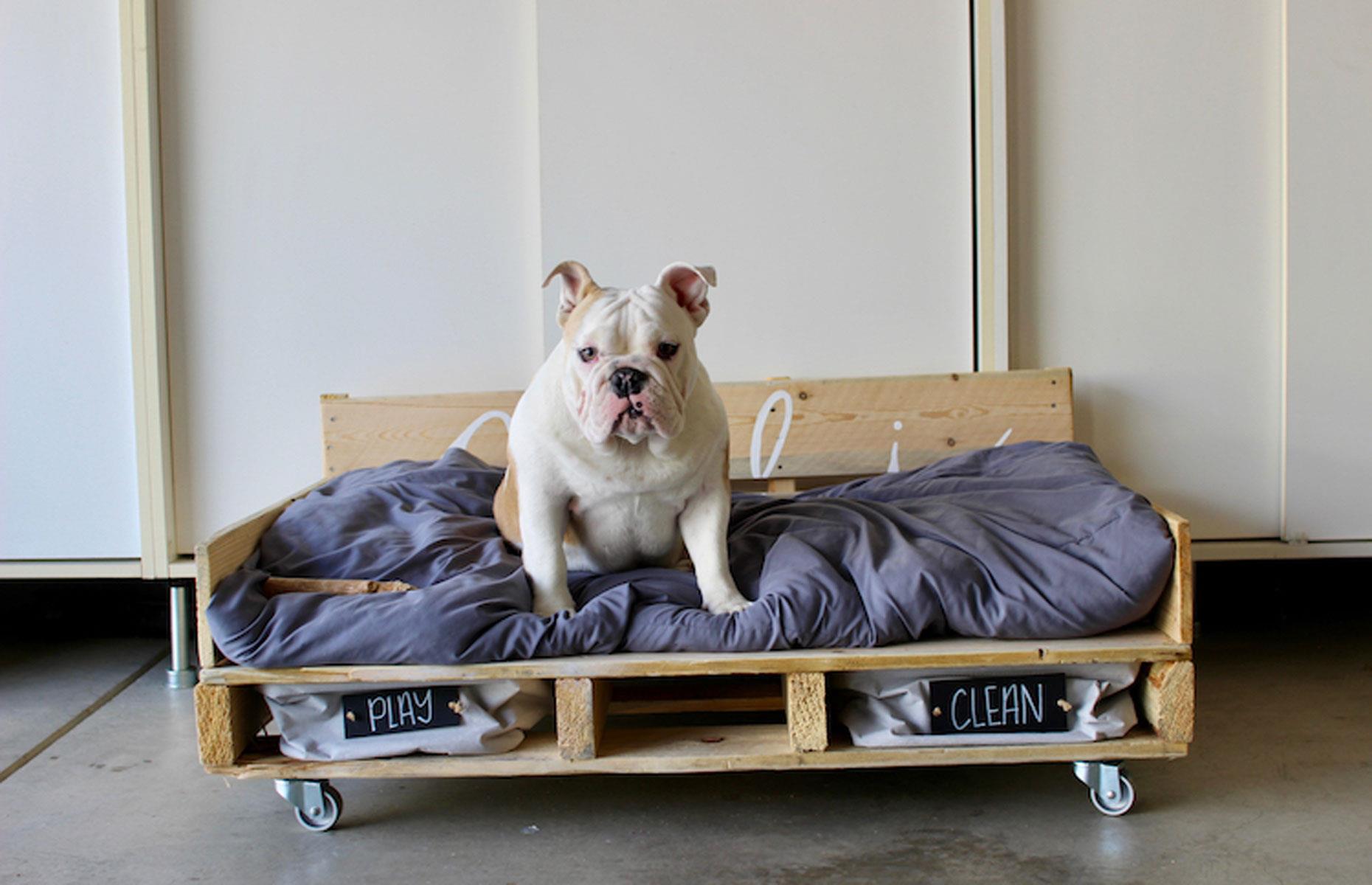 Spoil your pet with a pallet bed