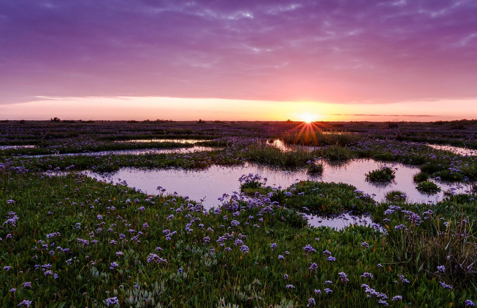 Wells-next-the-Sea, Norfolk, England
