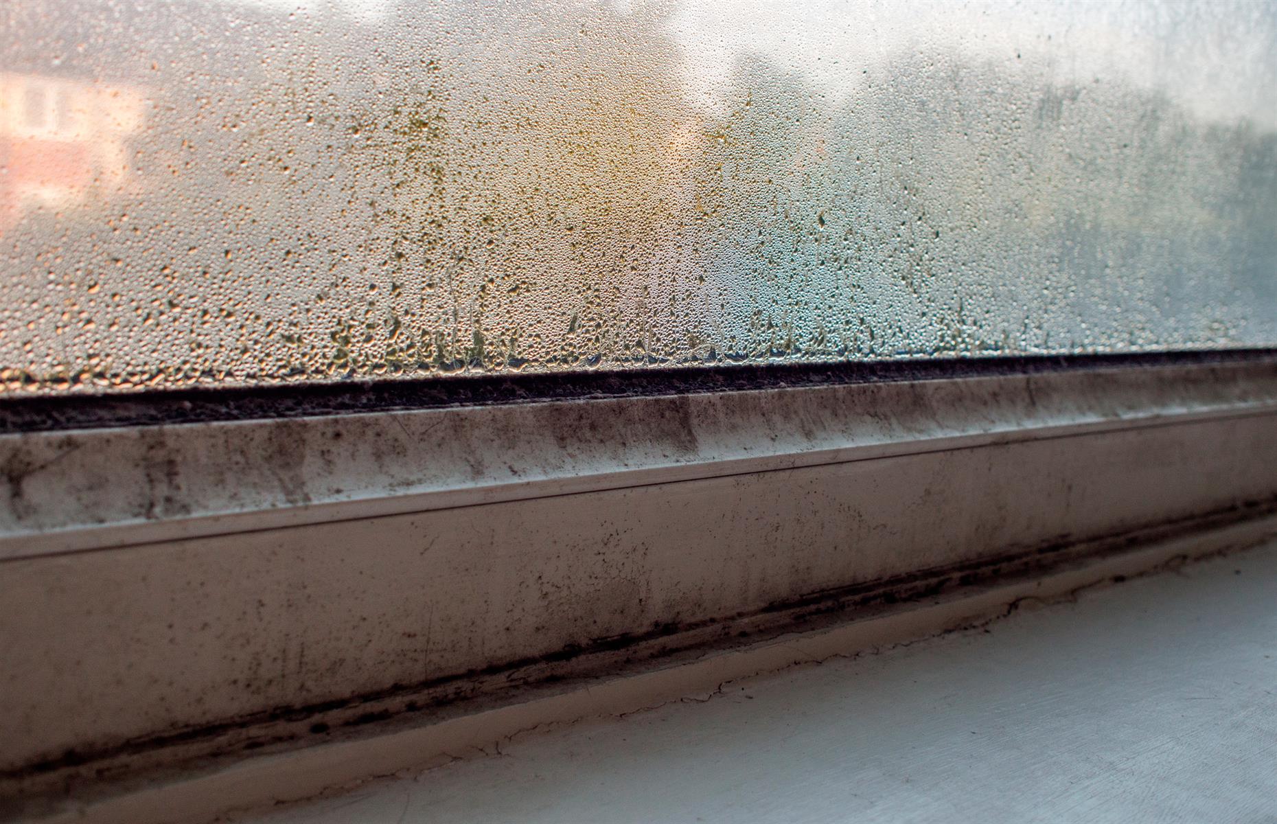 Dangerous damp