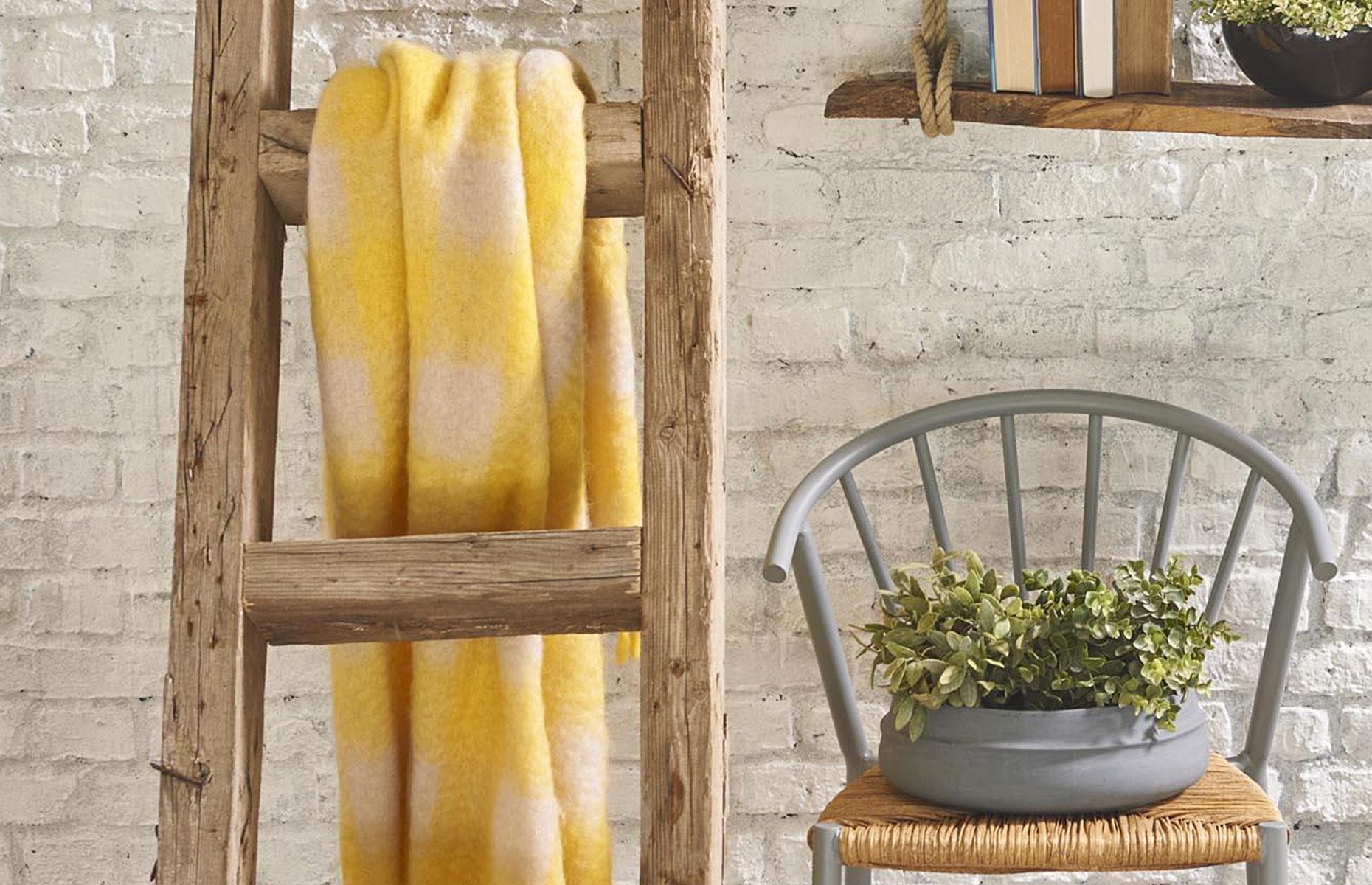 Storage ladder
