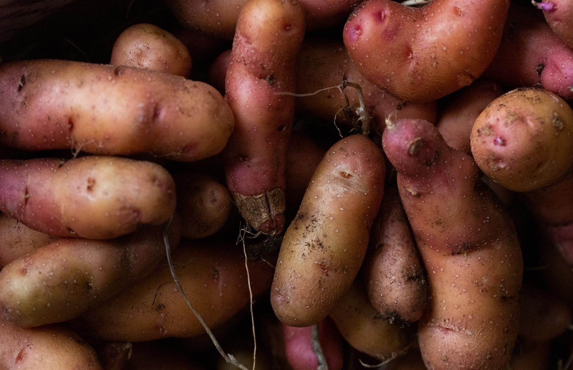 7. Instagrammable fruit and veg