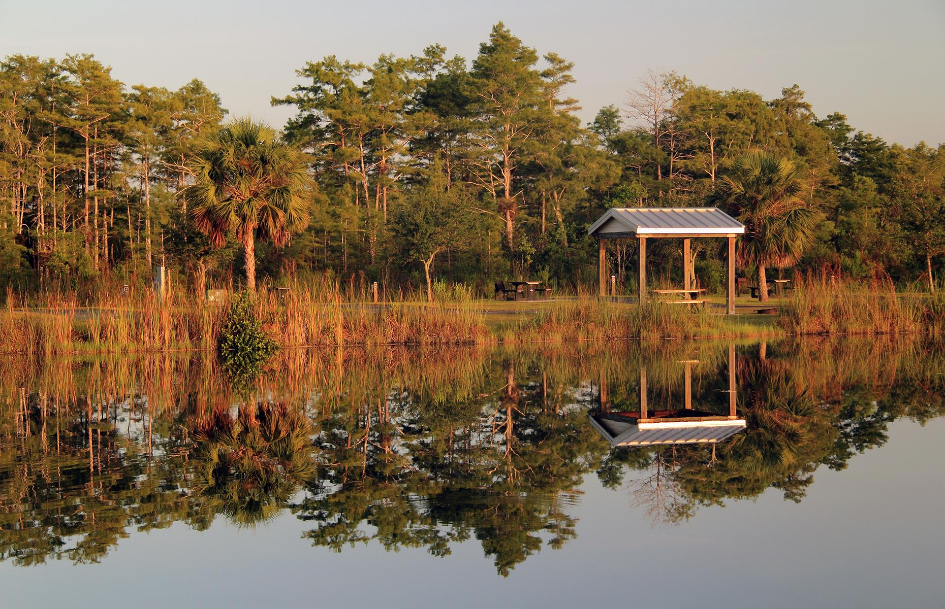 Midway Campground, Big Cypress National Preserve