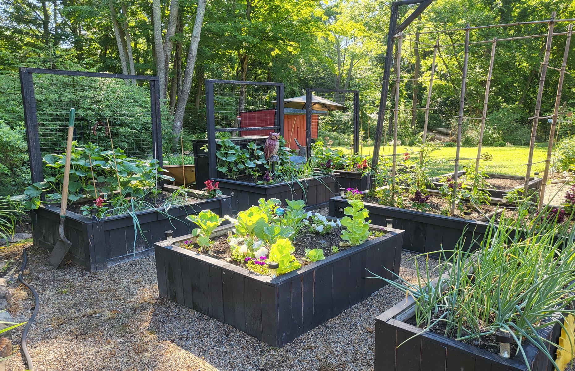 Build a raised planter