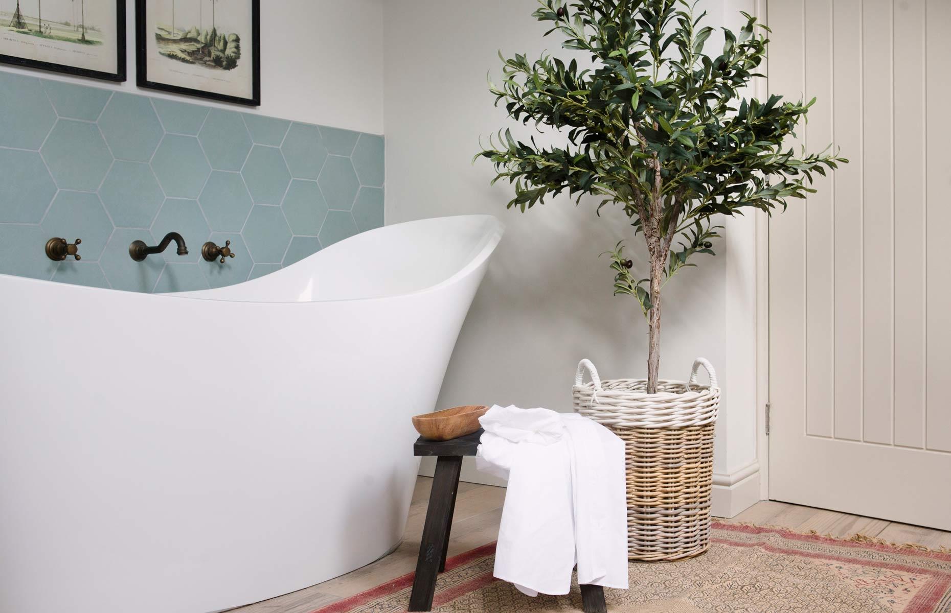 Grow an indoor tree