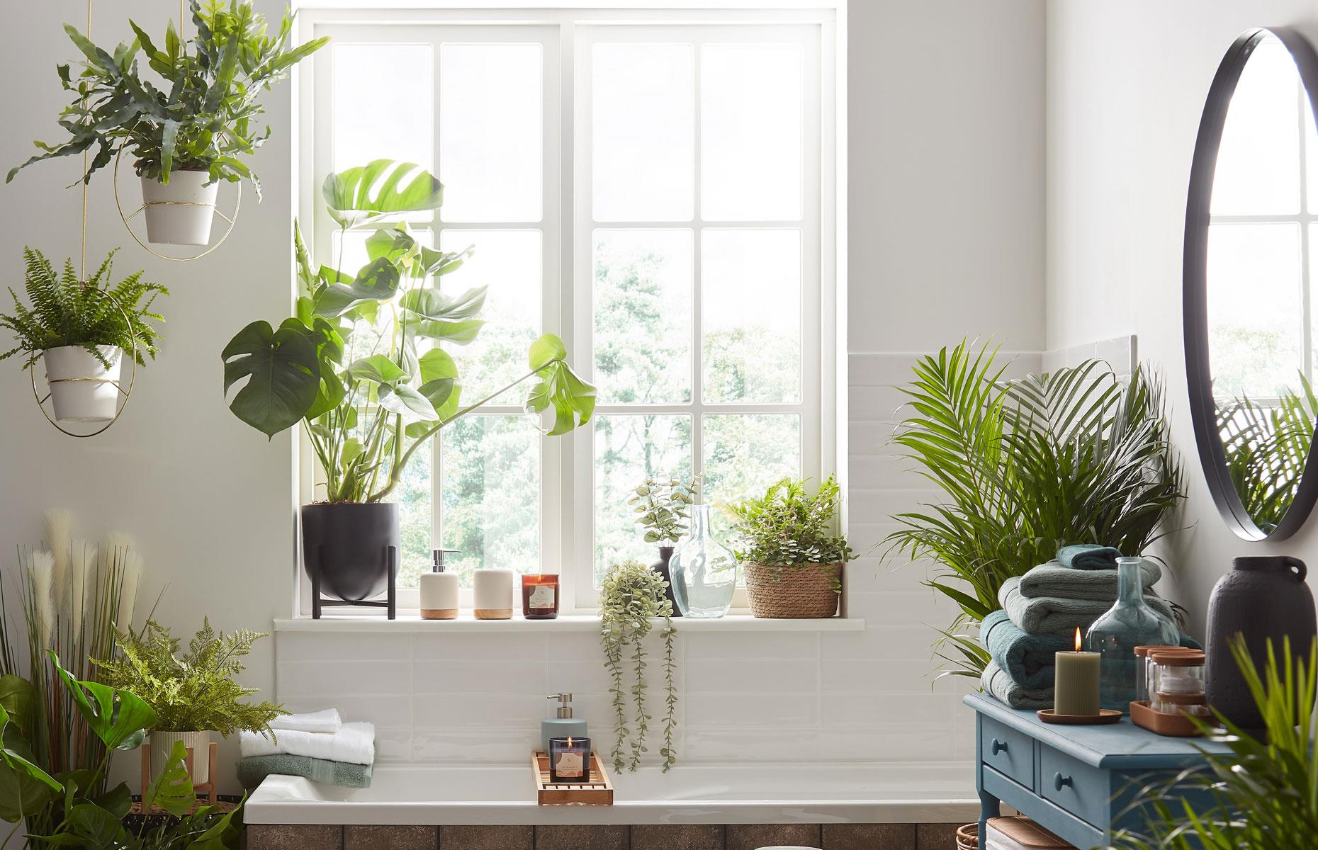 Frame with botanics