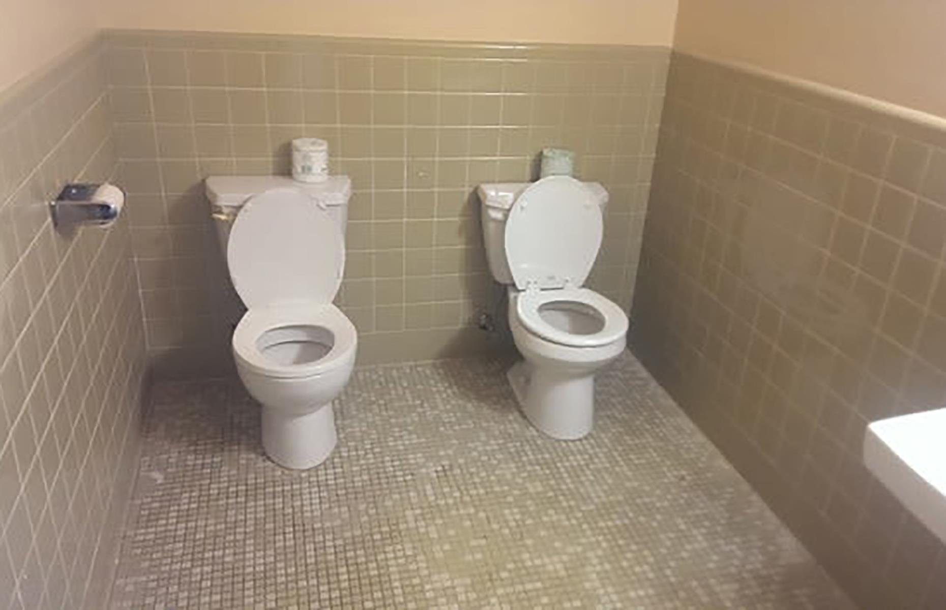A mismatched duo